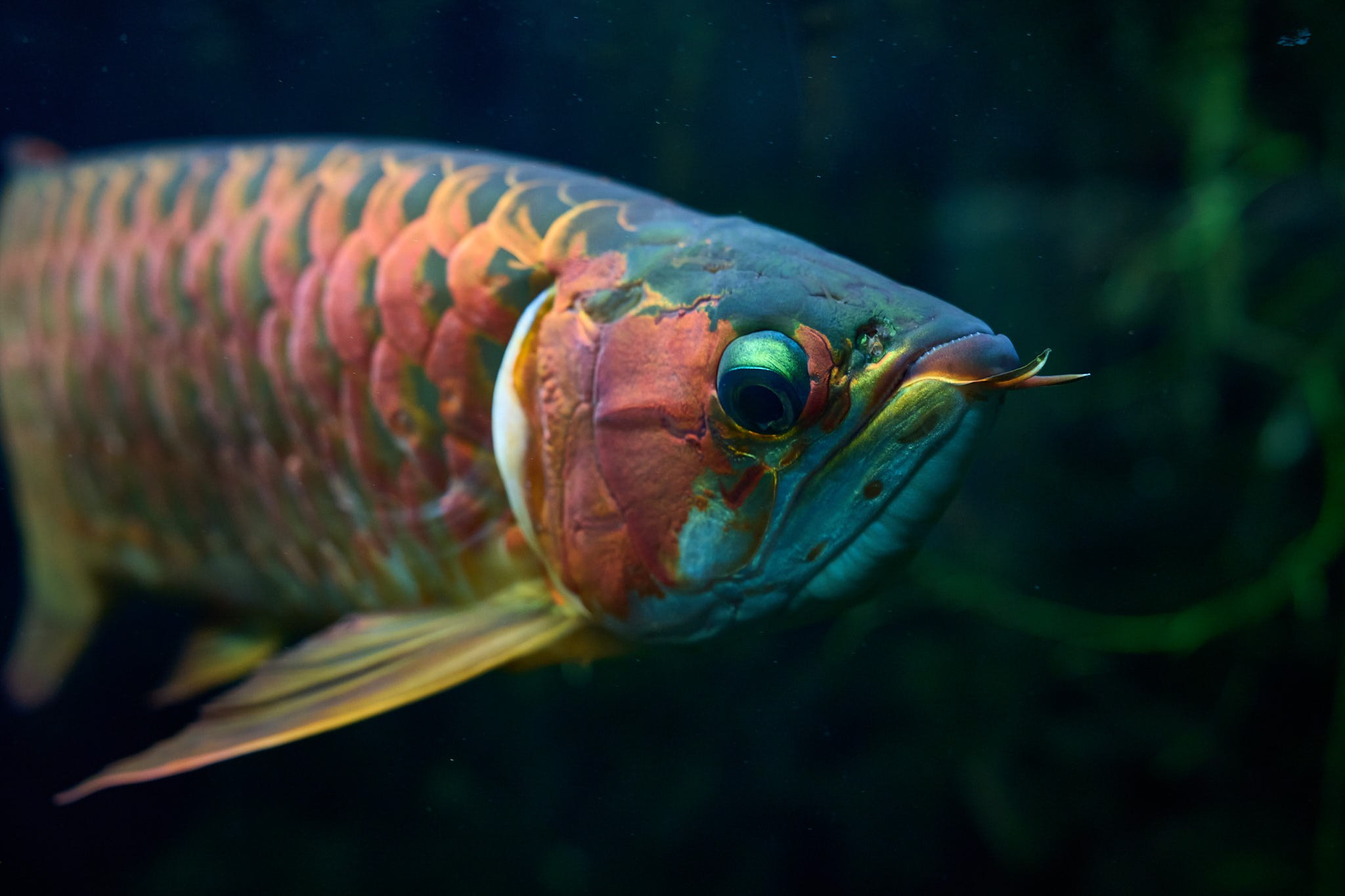 ZOO. ФОТОГРАФ ЕКАТЕРИНБУРГ