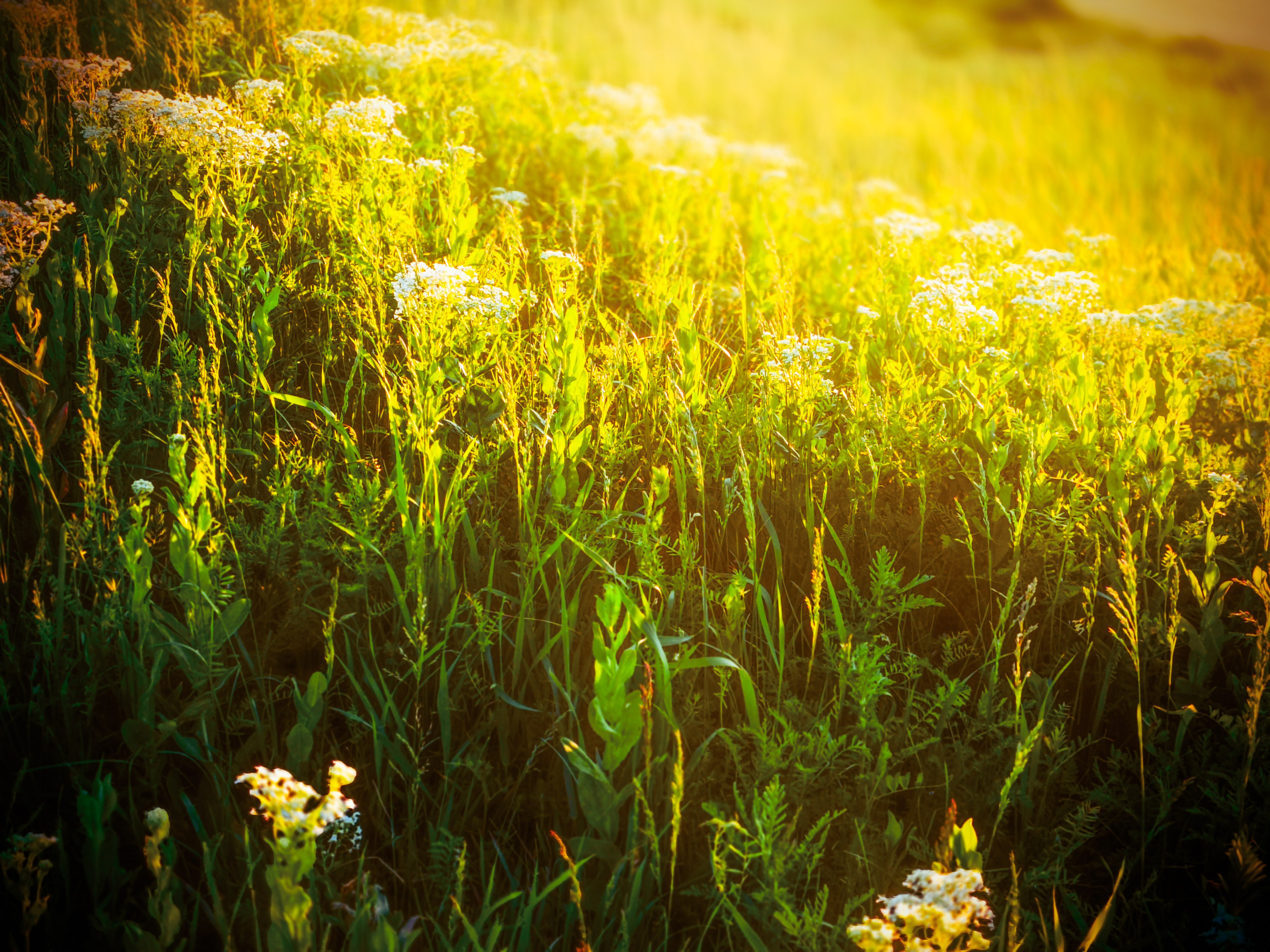 Пейзажи и уличная съёмка