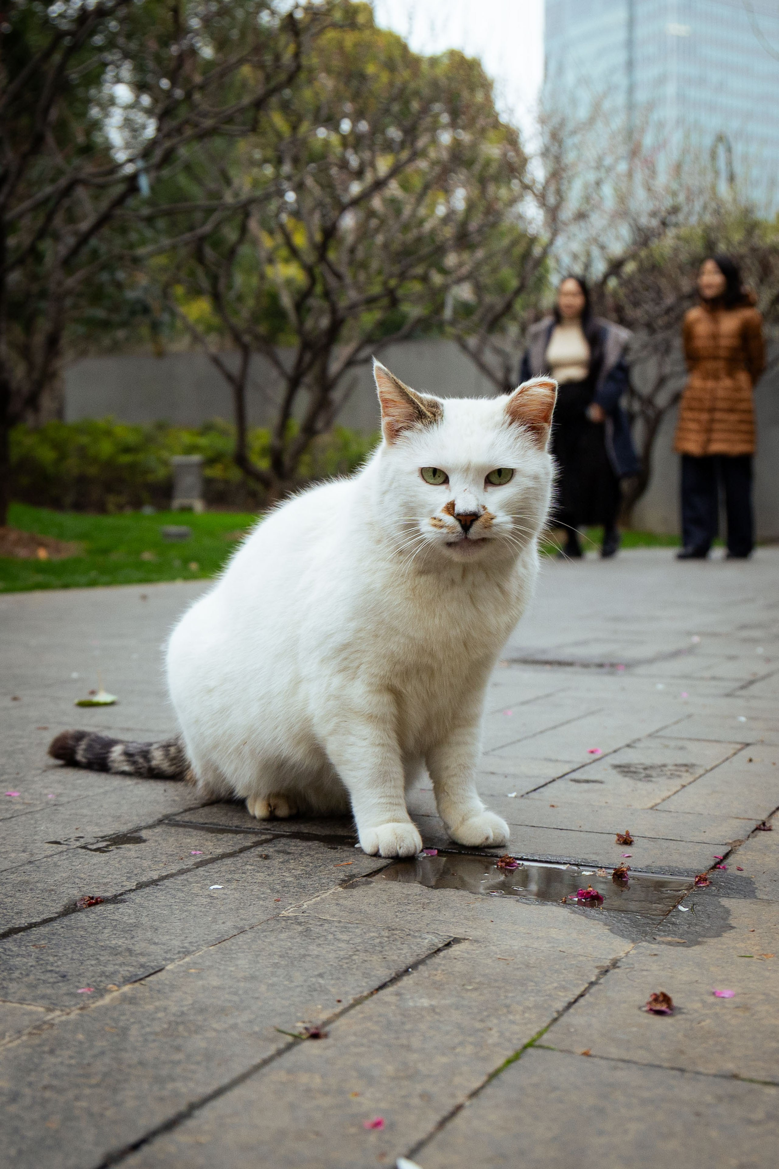 Шанхай (март 2026). Фотограф Виноградов Константин