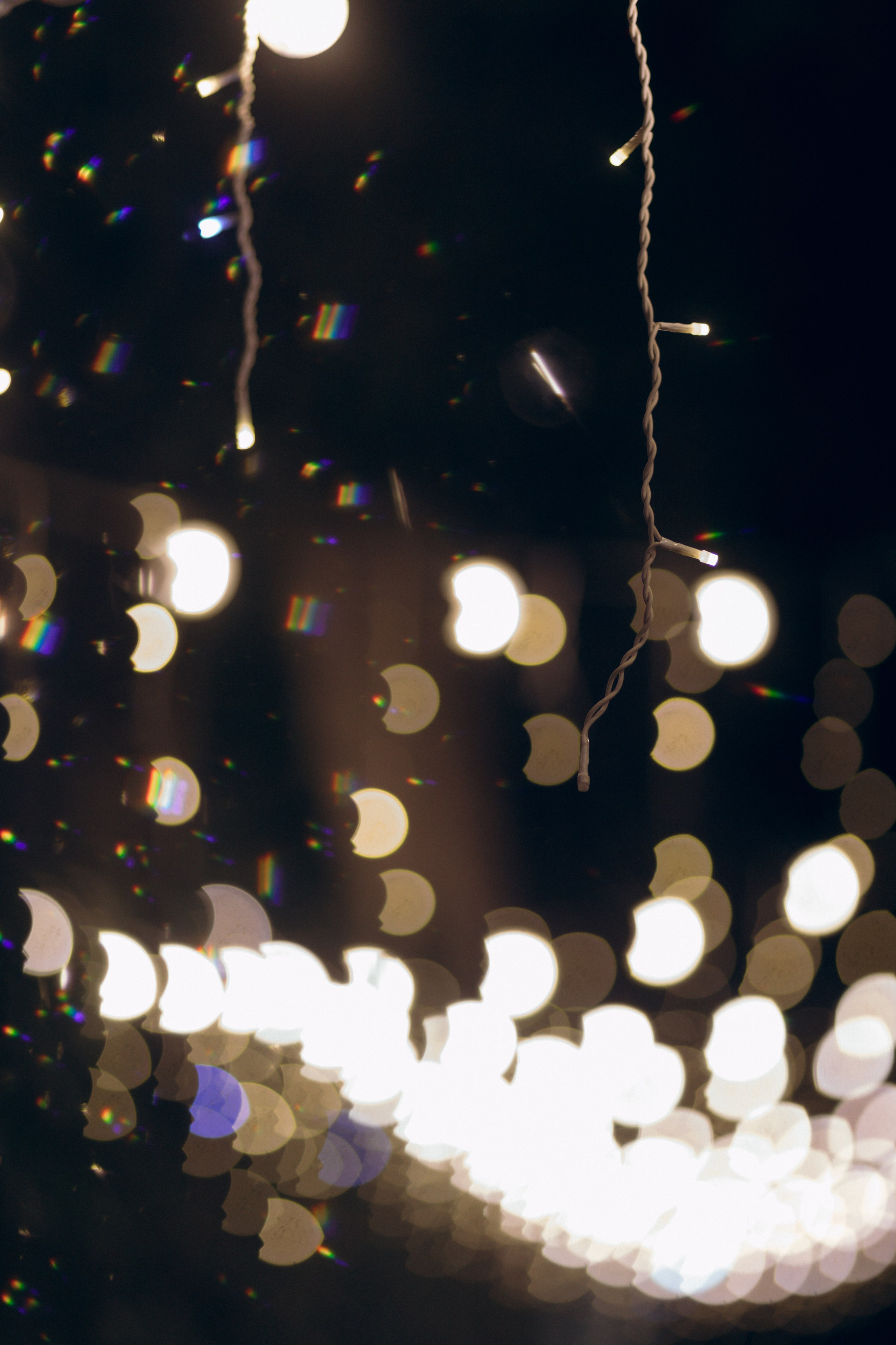 Николай и Юлия, 26 октября 2024. Свадебный  и семейный фотограф в Краснодаре