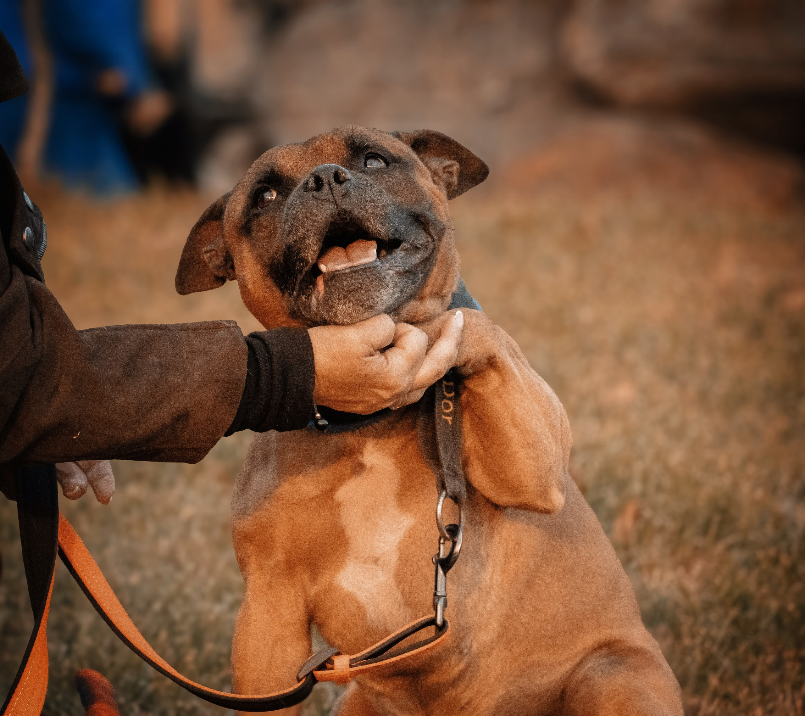«Булочный» Фото день. Семейный фотограф анималист г. Находка