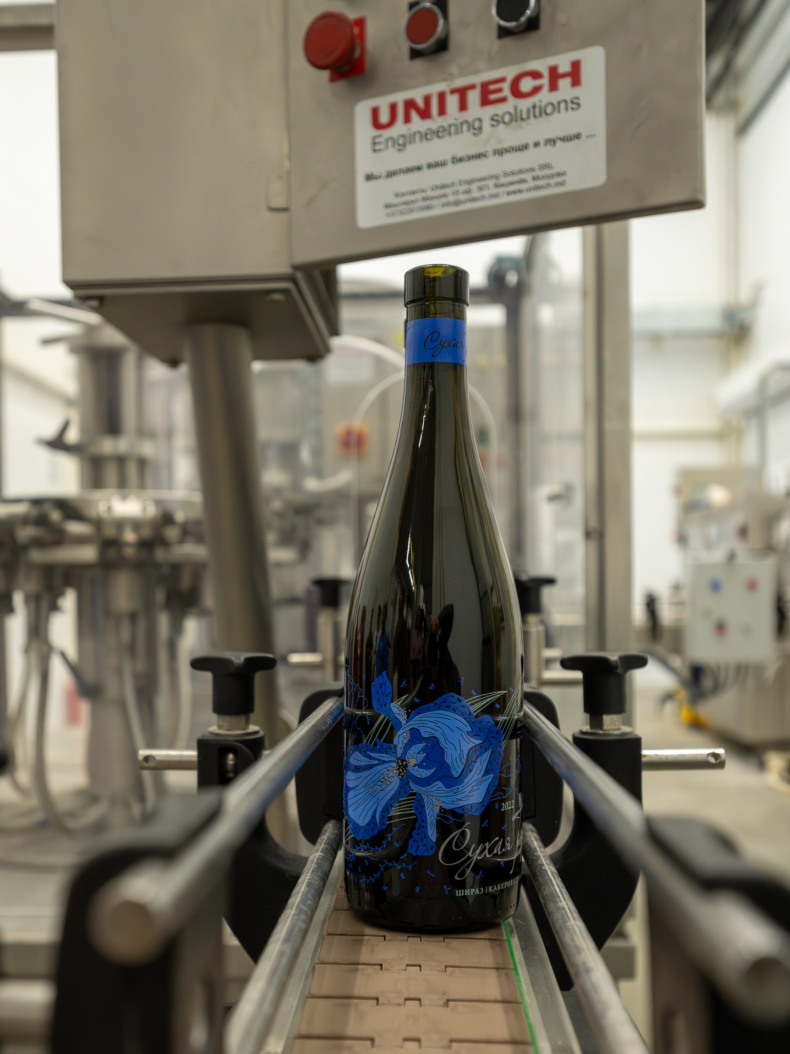 Литературная мастерская с Ольгой Шутовой в «Винотеррии». Репортажный фотограф в Красной Поляне и Сочи Павлюченко Екатерина