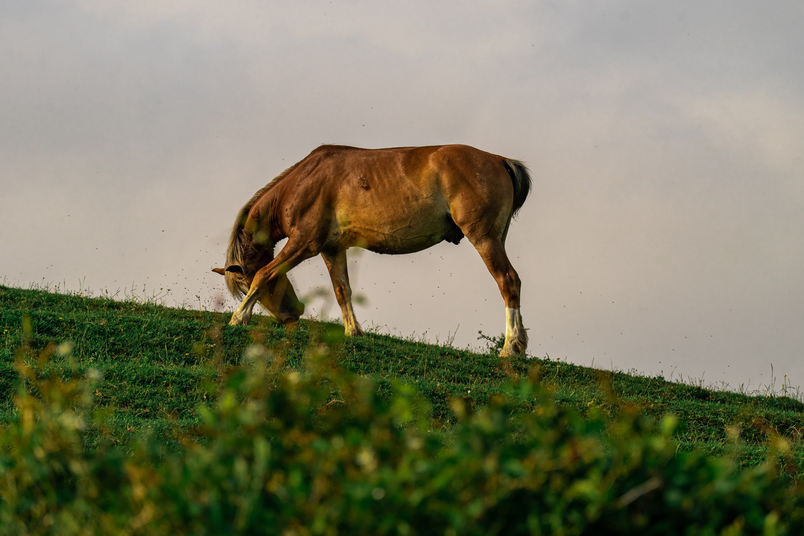 Путешествия и пейзаж. Репортажный фотограф в Красной Поляне и Сочи Павлюченко Екатерина