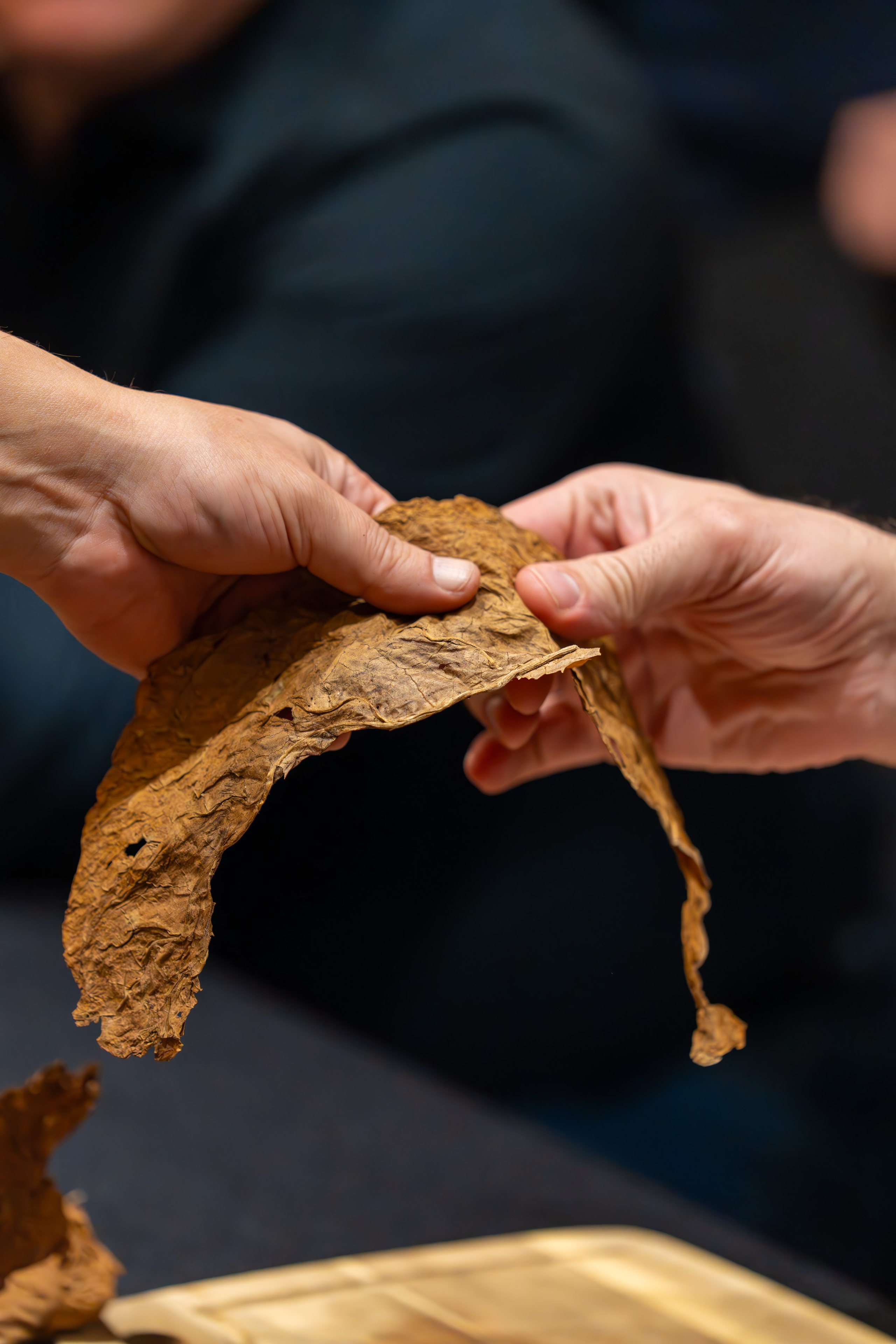 MICE мероприятие для компании «Базис». Репортажный фотограф в Красной Поляне и Сочи Павлюченко Екатерина