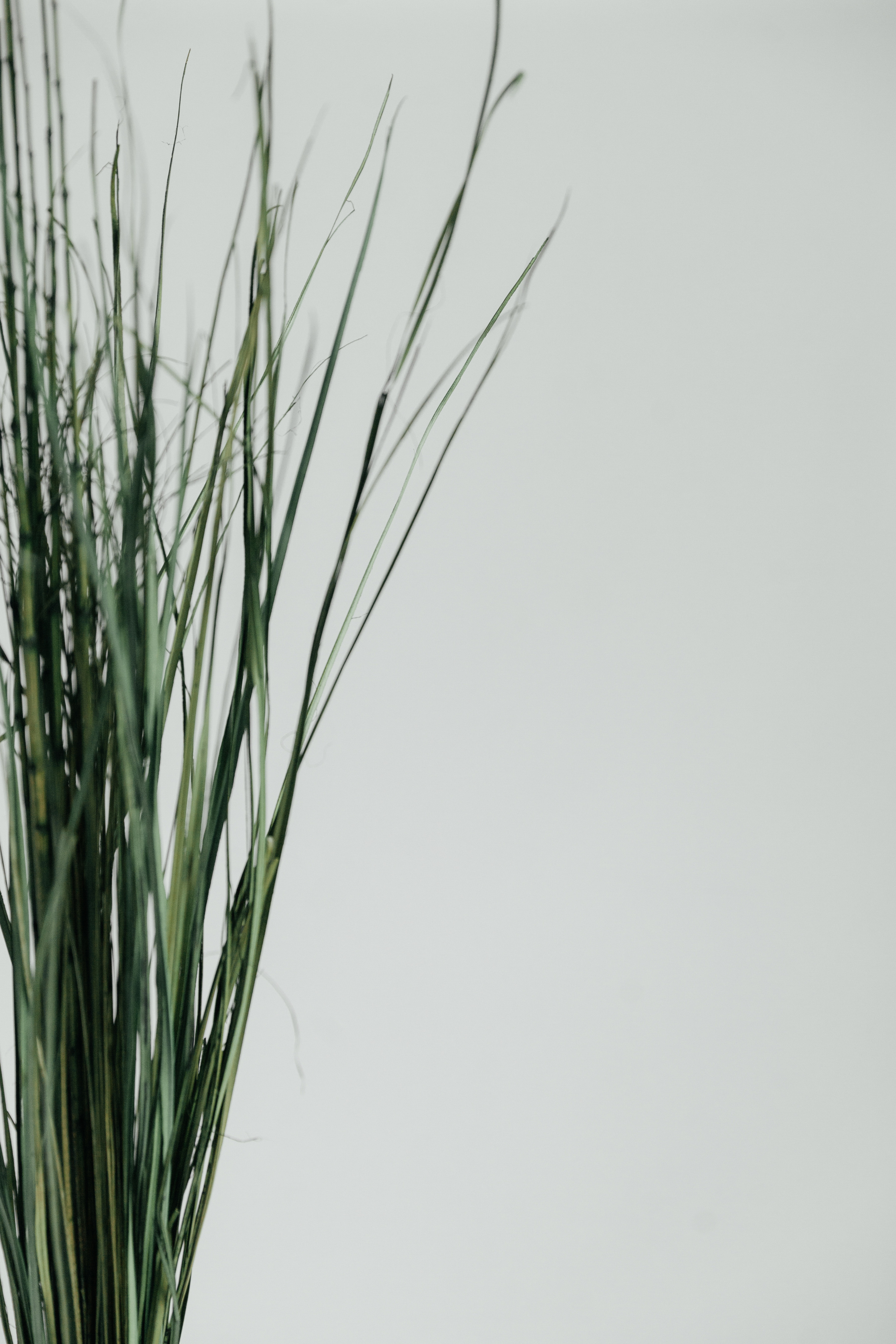 СММ Менеджер. Фотограф Луиза Юдилевич Москва