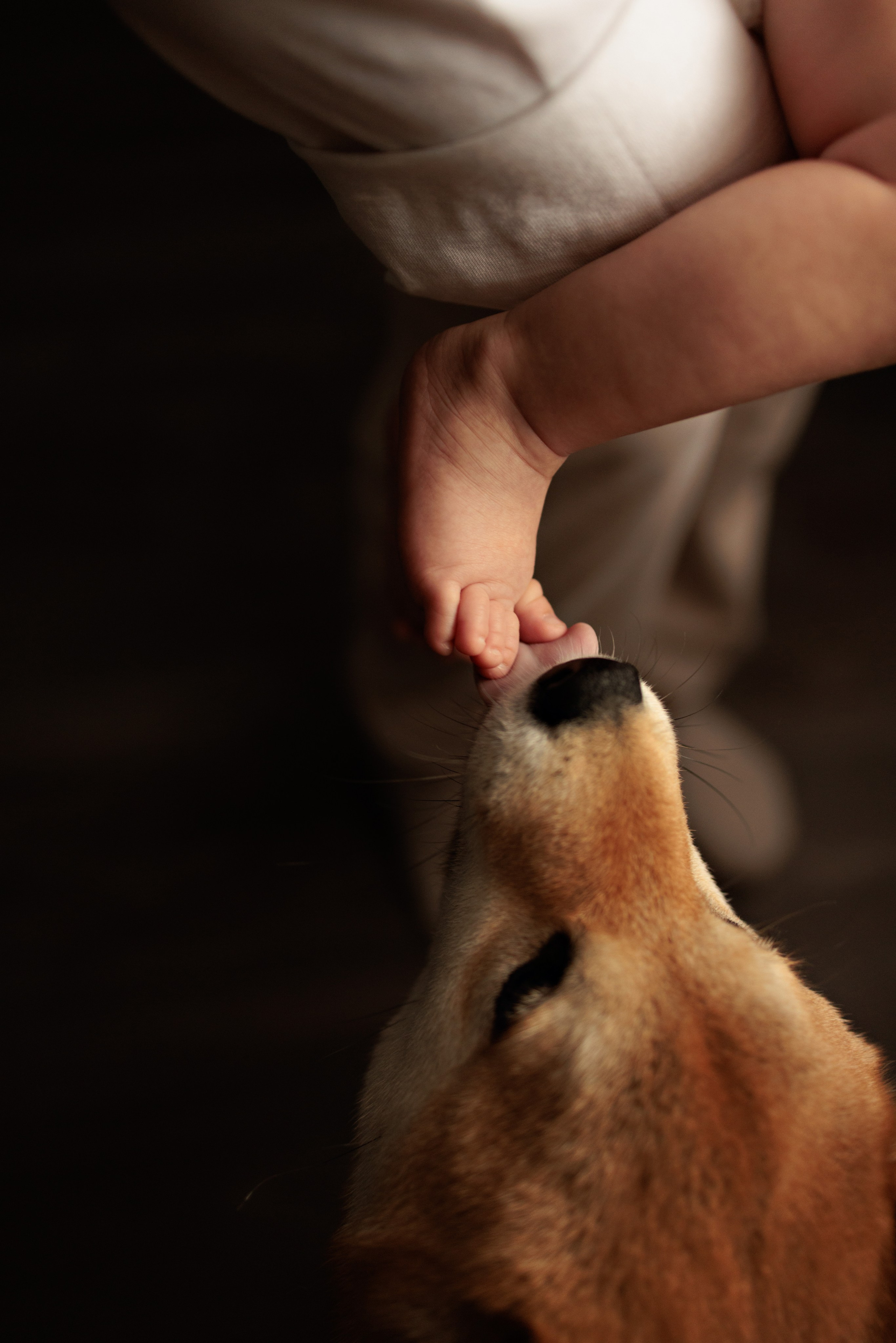 Фотосопровождение до года. Детский и семейный фотограф в Чите Анастасия Шубина