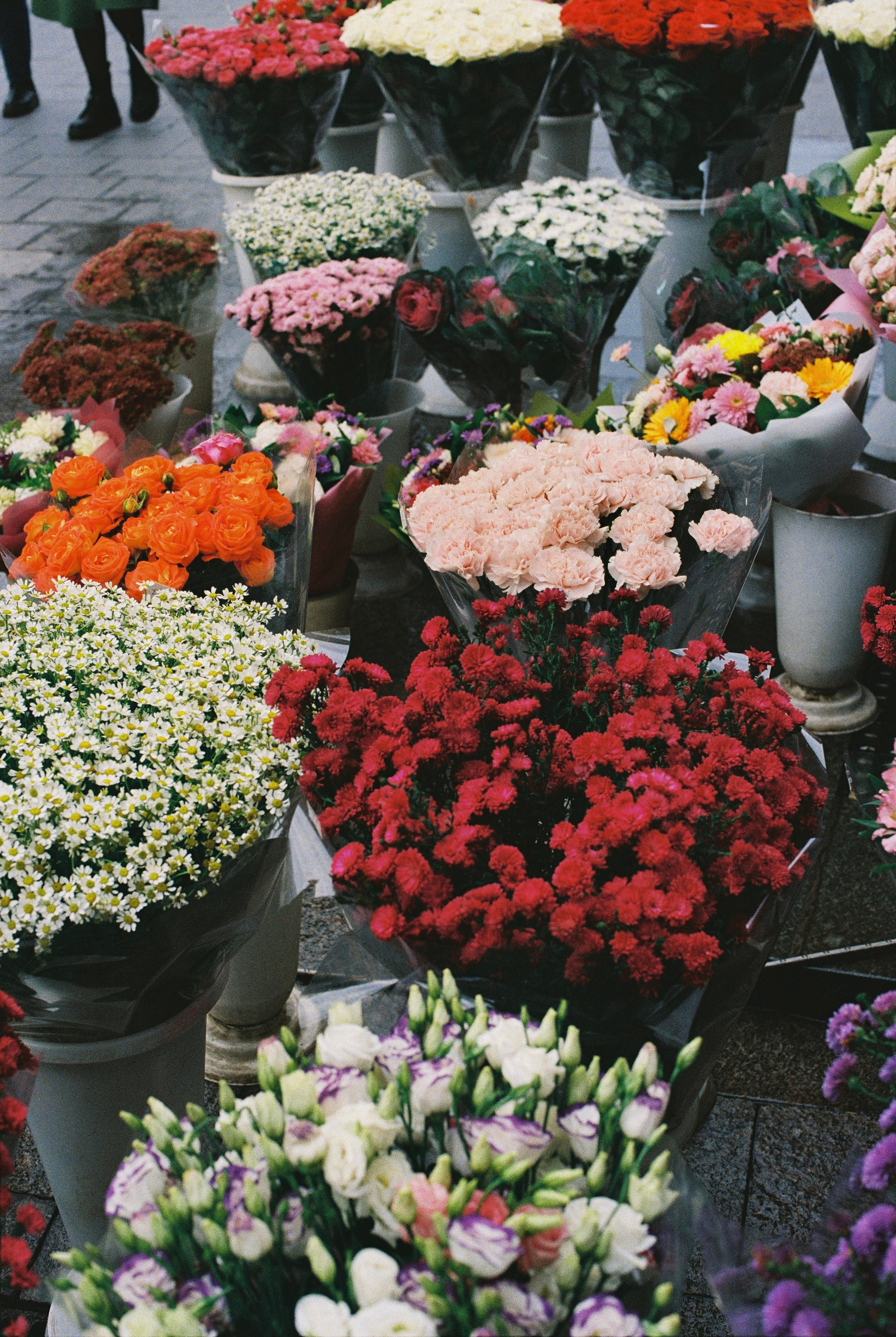 Grain. Artem Khusainov