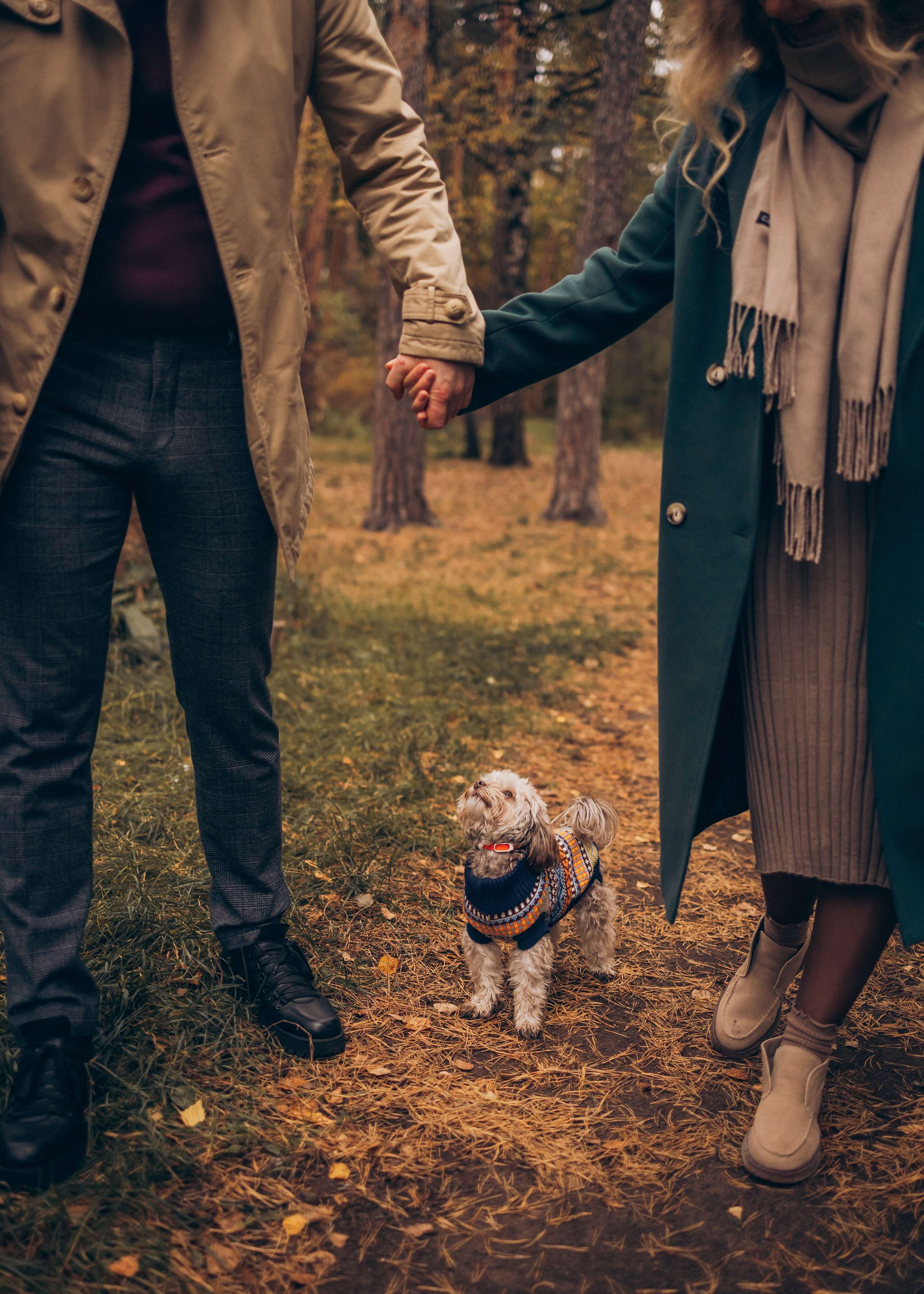 Юля, Саша и Чара. Семейный фотограф В Москве Александра Дейкун