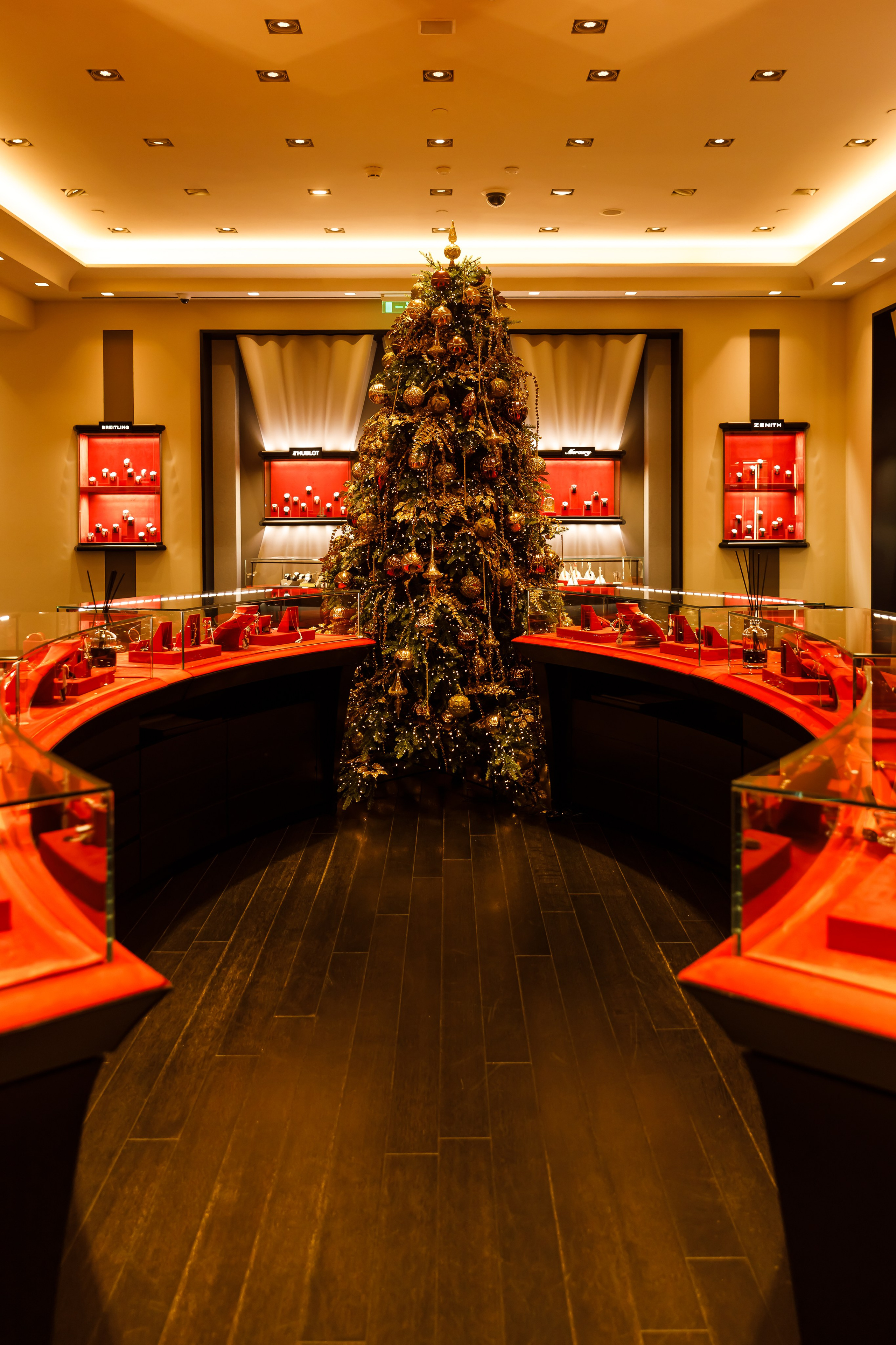 ЕЛКА МОНТЕ КАРЛО 2025. Катерина Киреева — фотограф в Москве