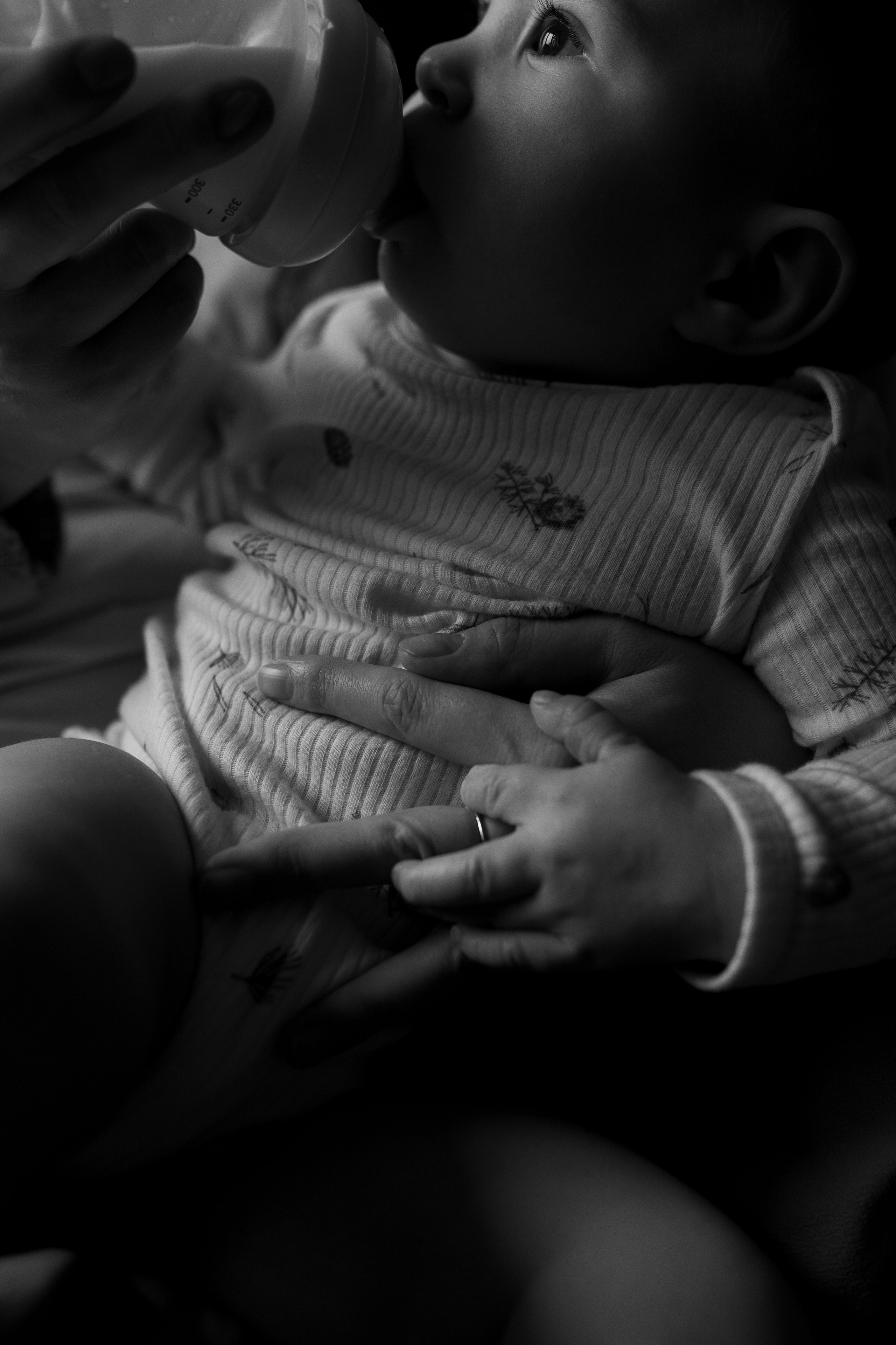 Домашняя история. Meryfotoidea