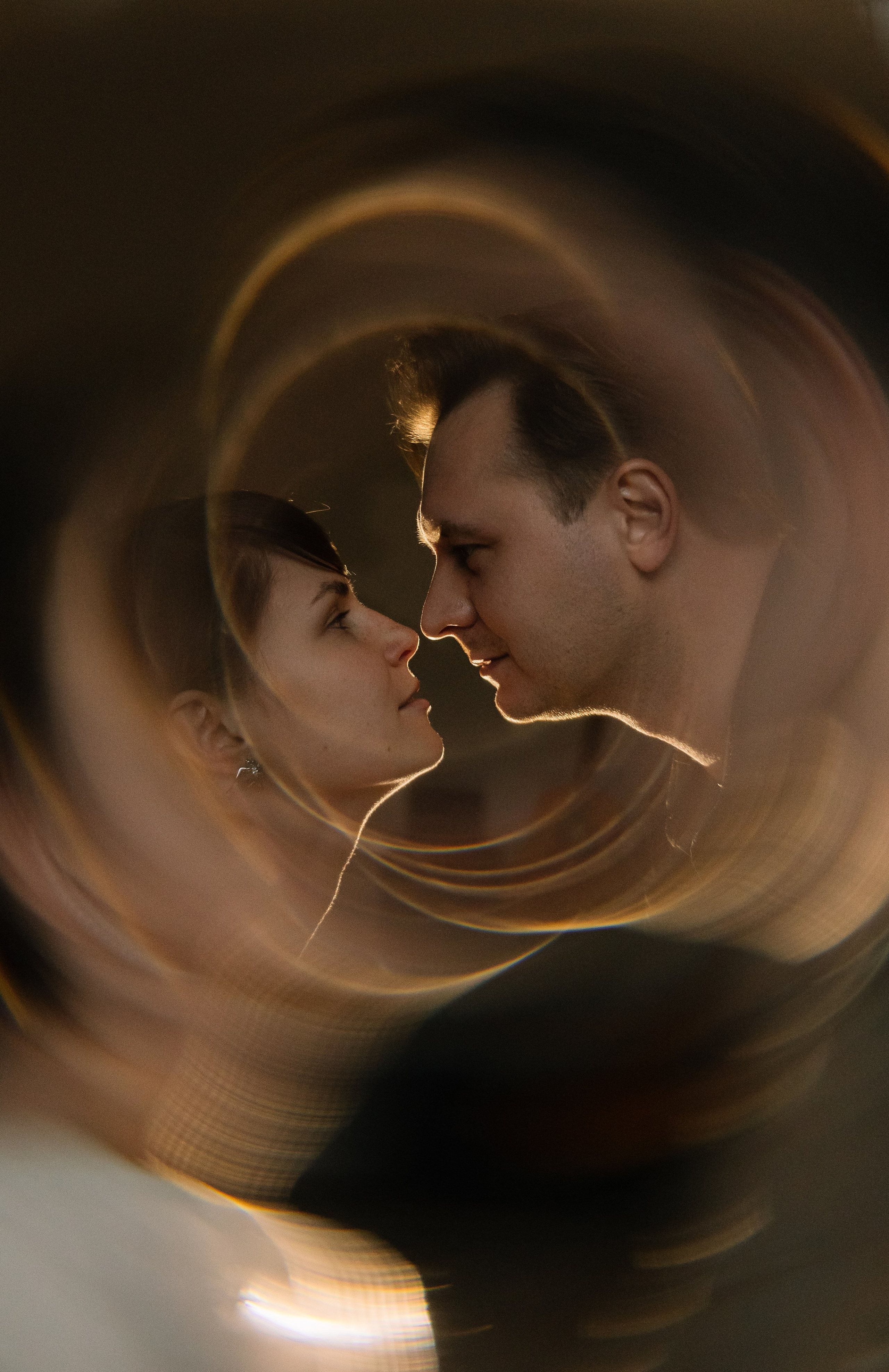 Домашняя история. Meryfotoidea