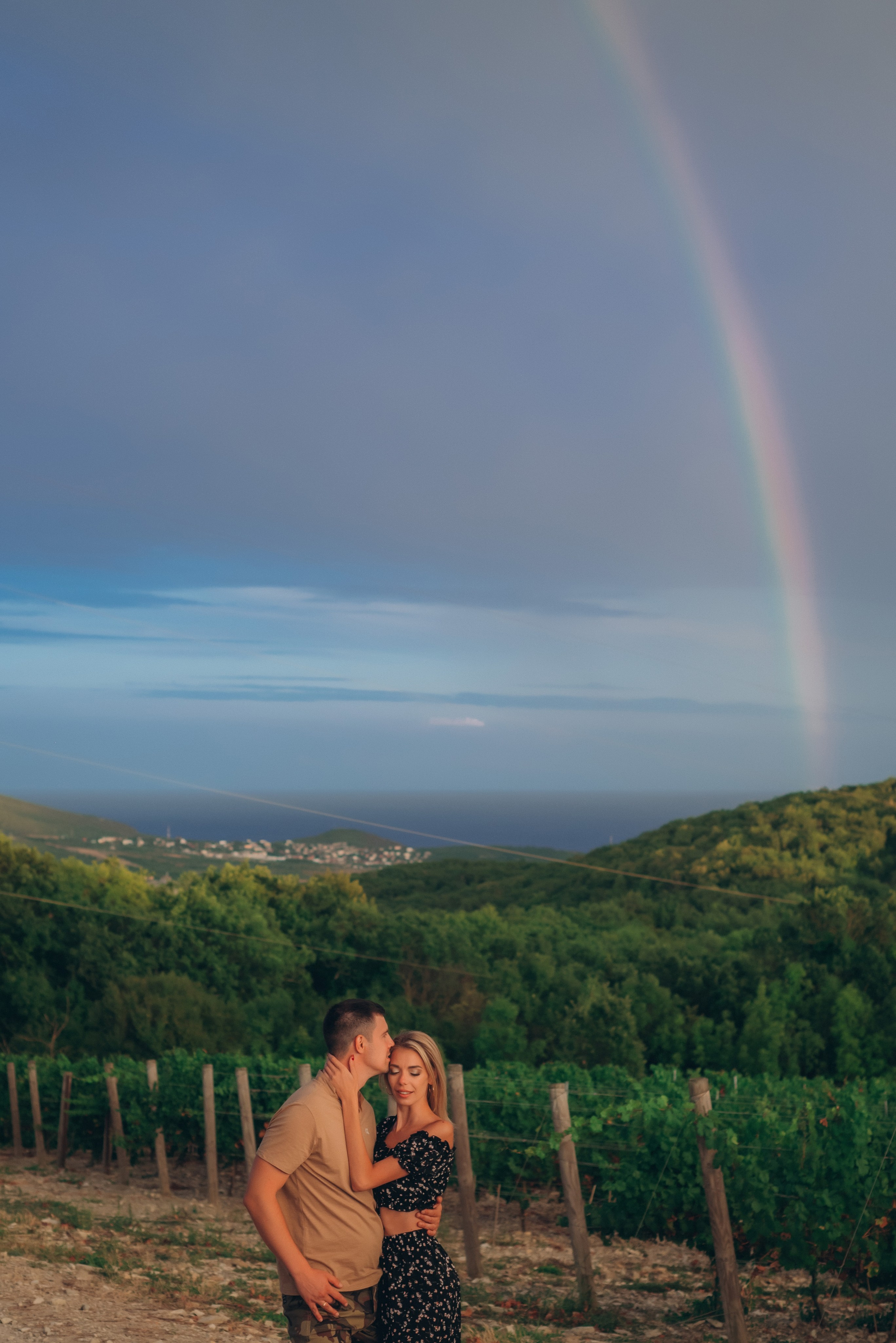 Виноградники. Фотографы Ивановы Краснодарский край