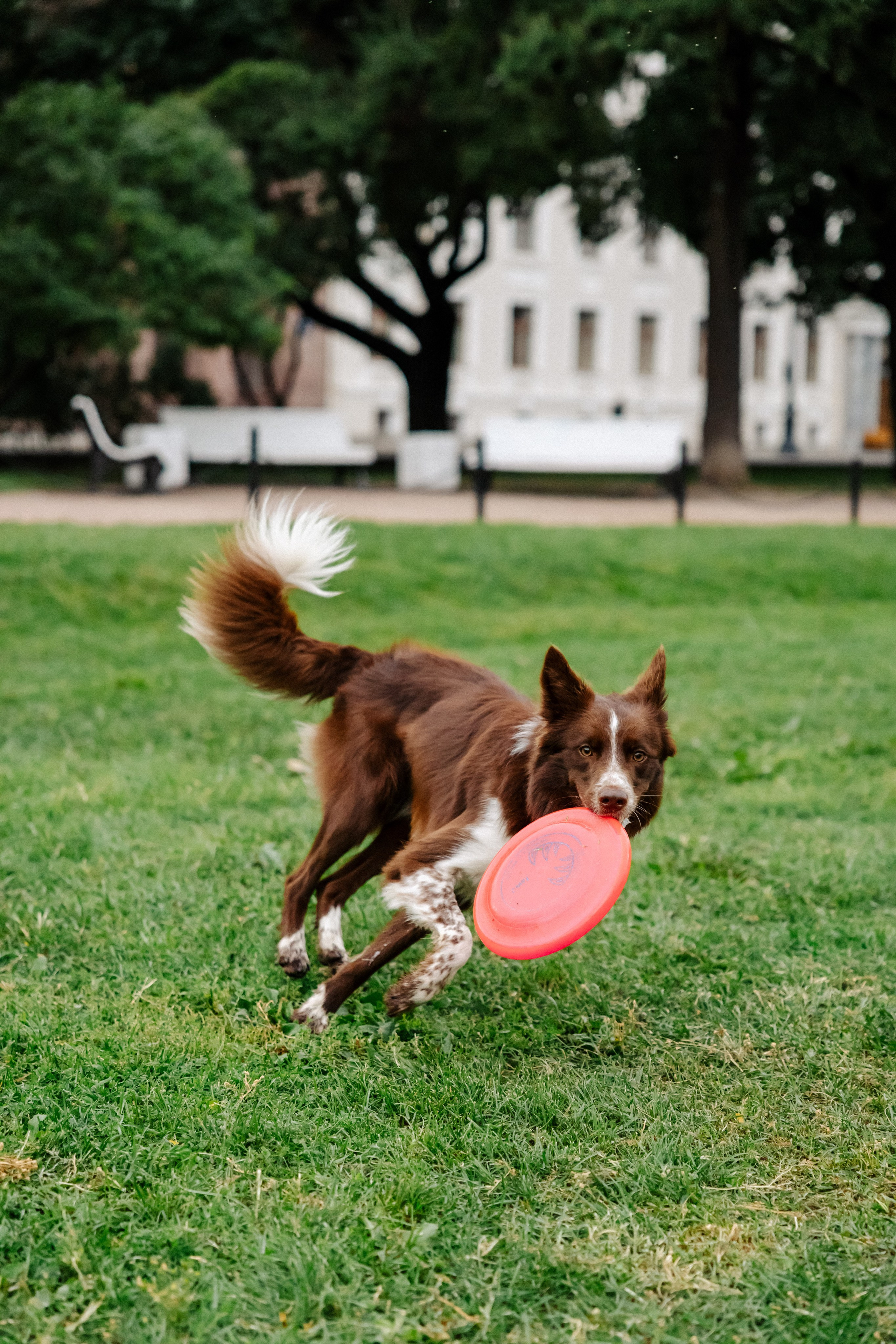 Streetfoto Стритфото Санкт-Петербург