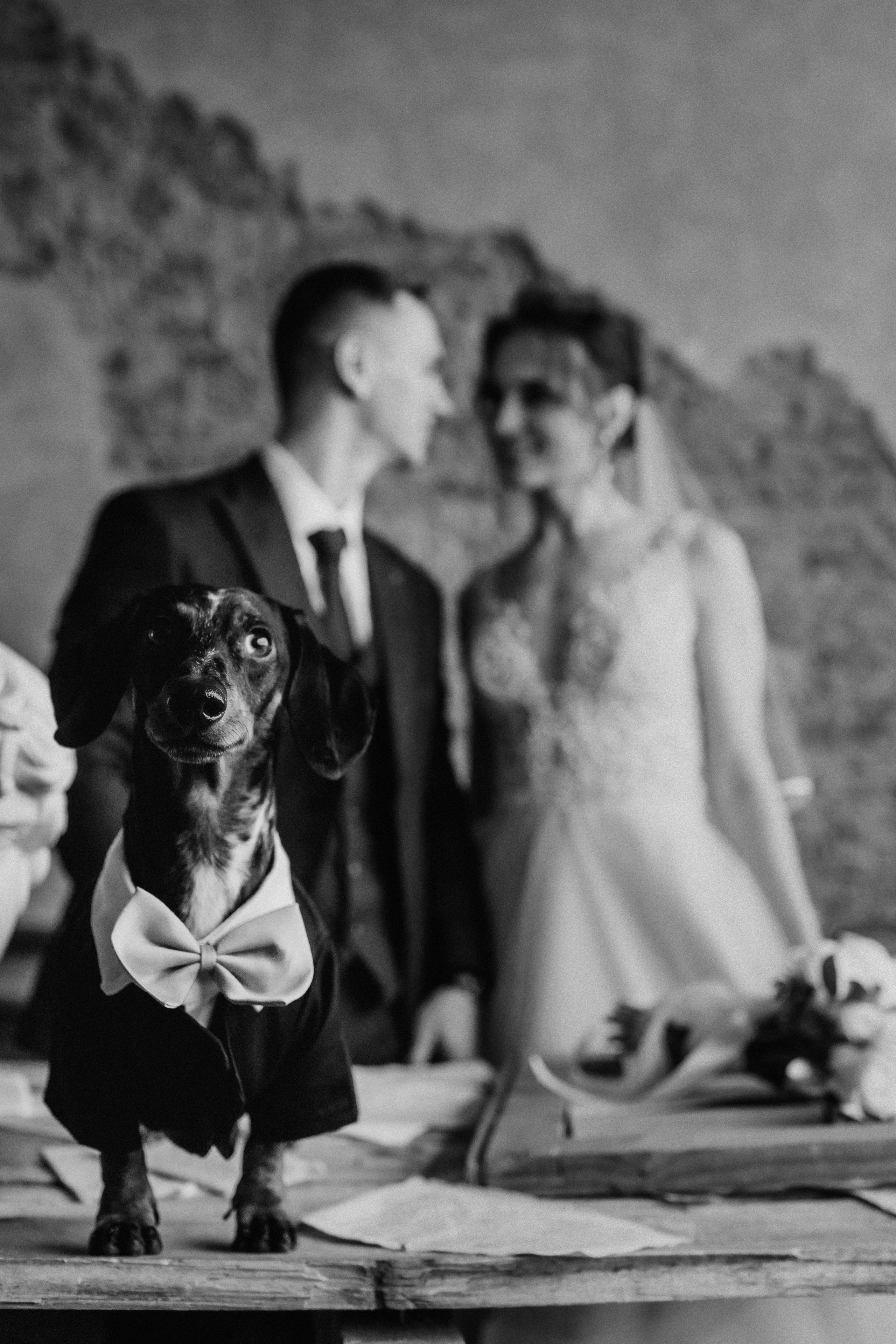 Семен и Юлия. Свадебный фотограф Уфа Стерлитамак Сергей Петовраджи