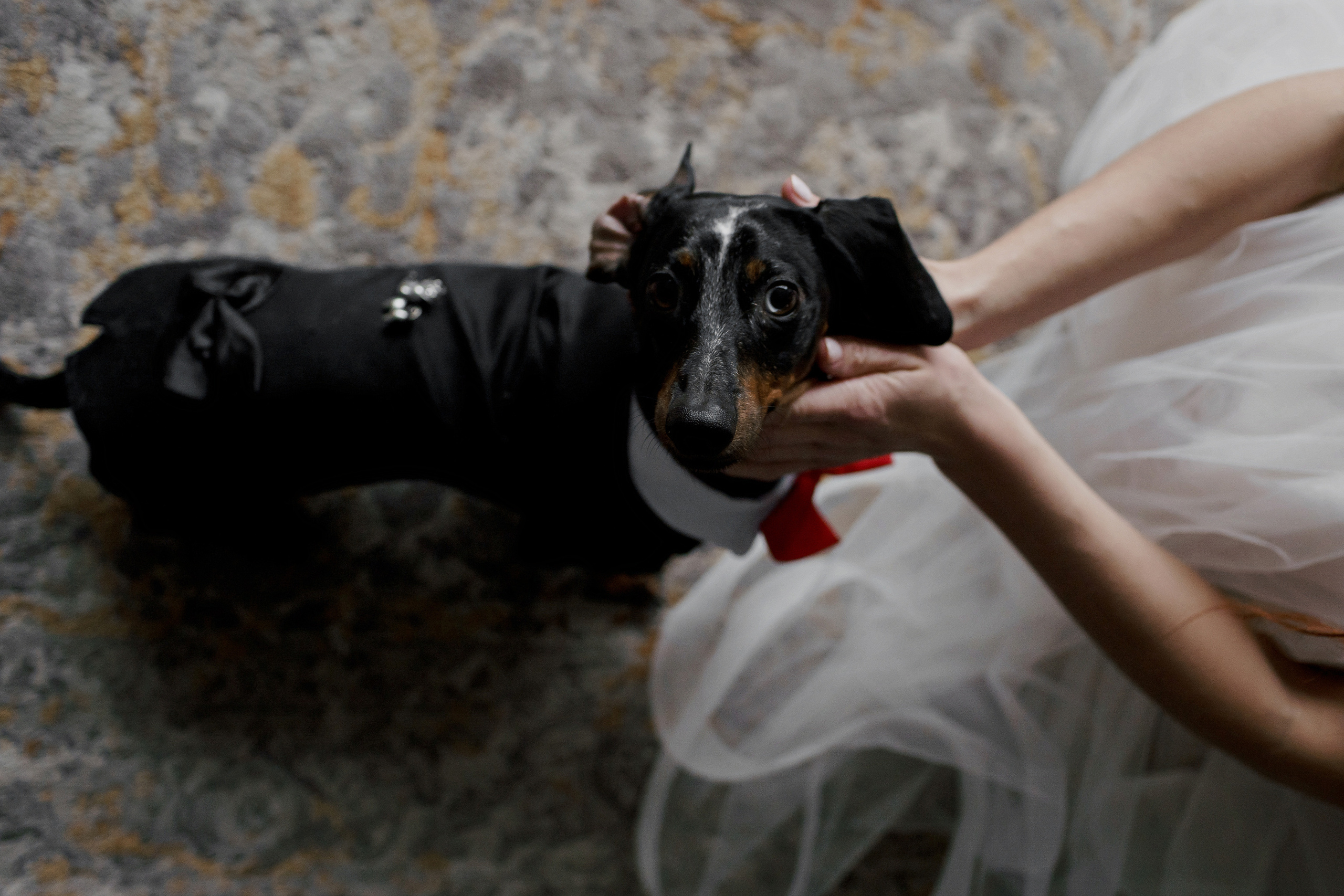 Семен и Юлия. Свадебный фотограф Уфа Стерлитамак Сергей Петовраджи