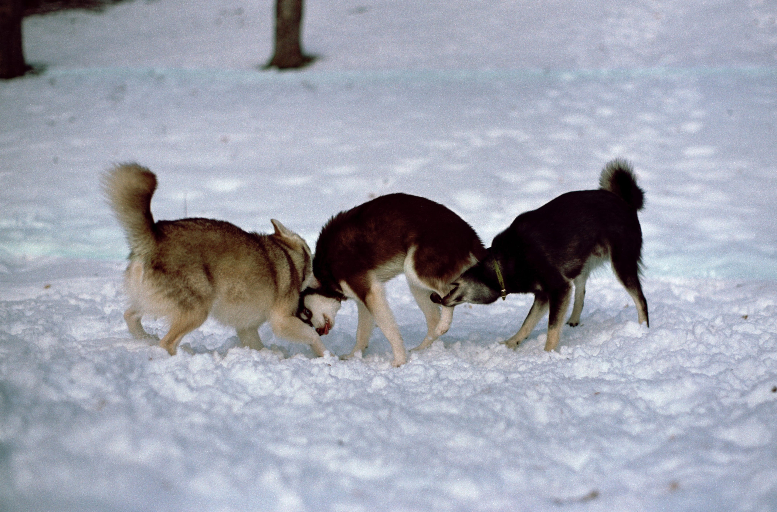 W. Стилист и плёночный фотограф Анастасия Шлокова в Санкт-Петербурге и Москве