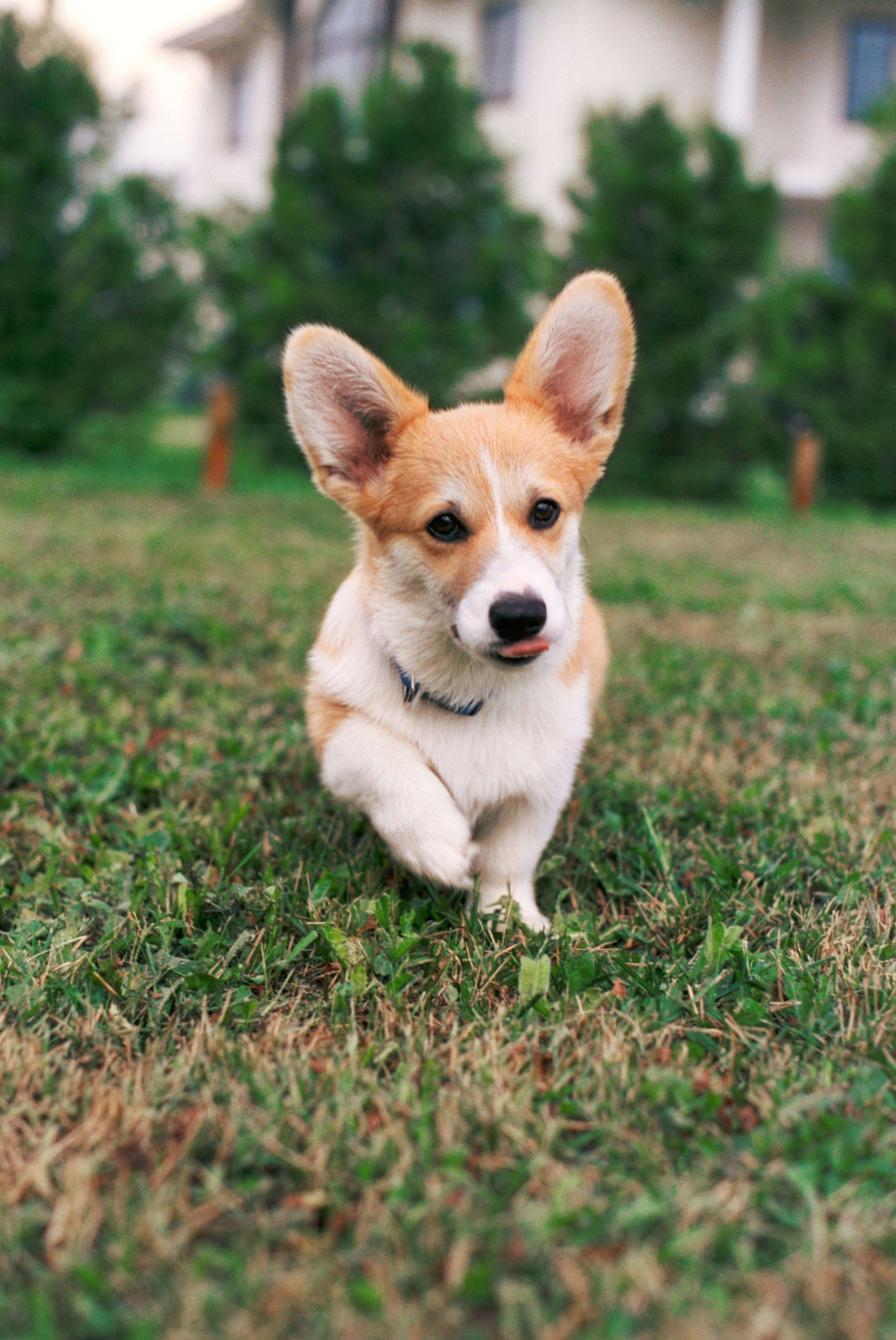 E&V&G. Stylist and film photographer Anastasia Shlokova