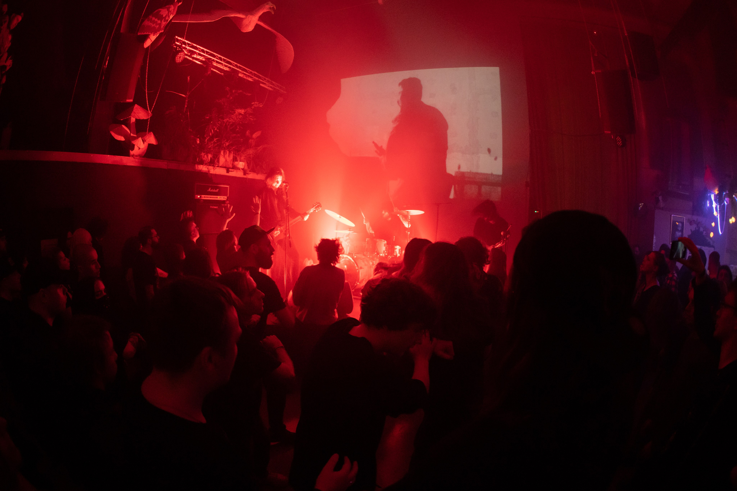 Шторм|Ласточка. Концертный и репортажный фотограф в Санкт-Петербурге Слава Пахомов