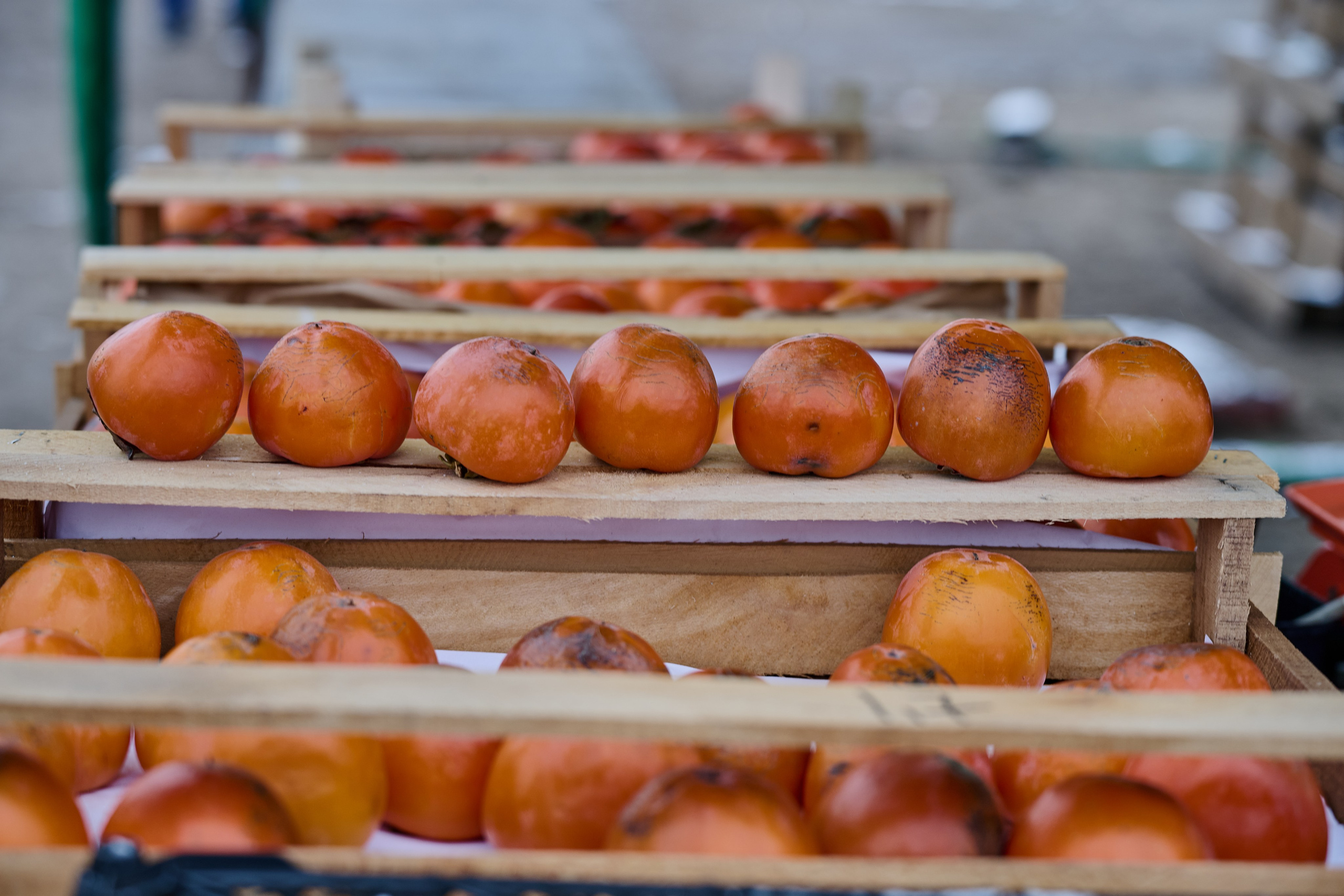 Северодонецк (Луганская область). Декабрь 2024. Фотограф Роман Адлер