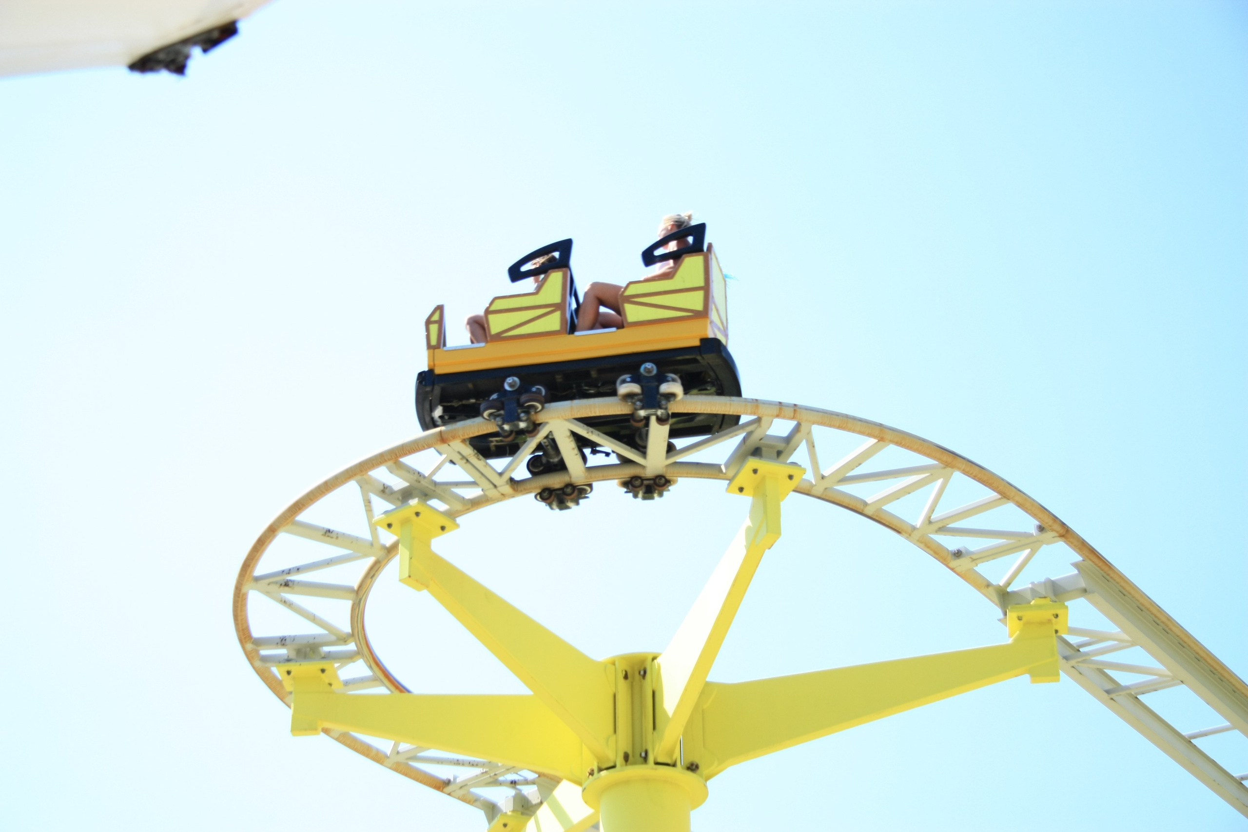 Первые кадры. Сочи — парк. Фотограф Роман Адлер