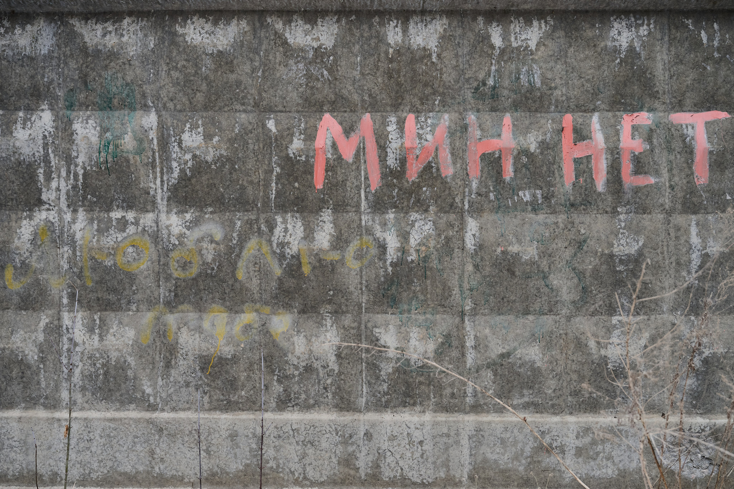 Рубежное. Декабрь 2024. Фотограф Роман Адлер