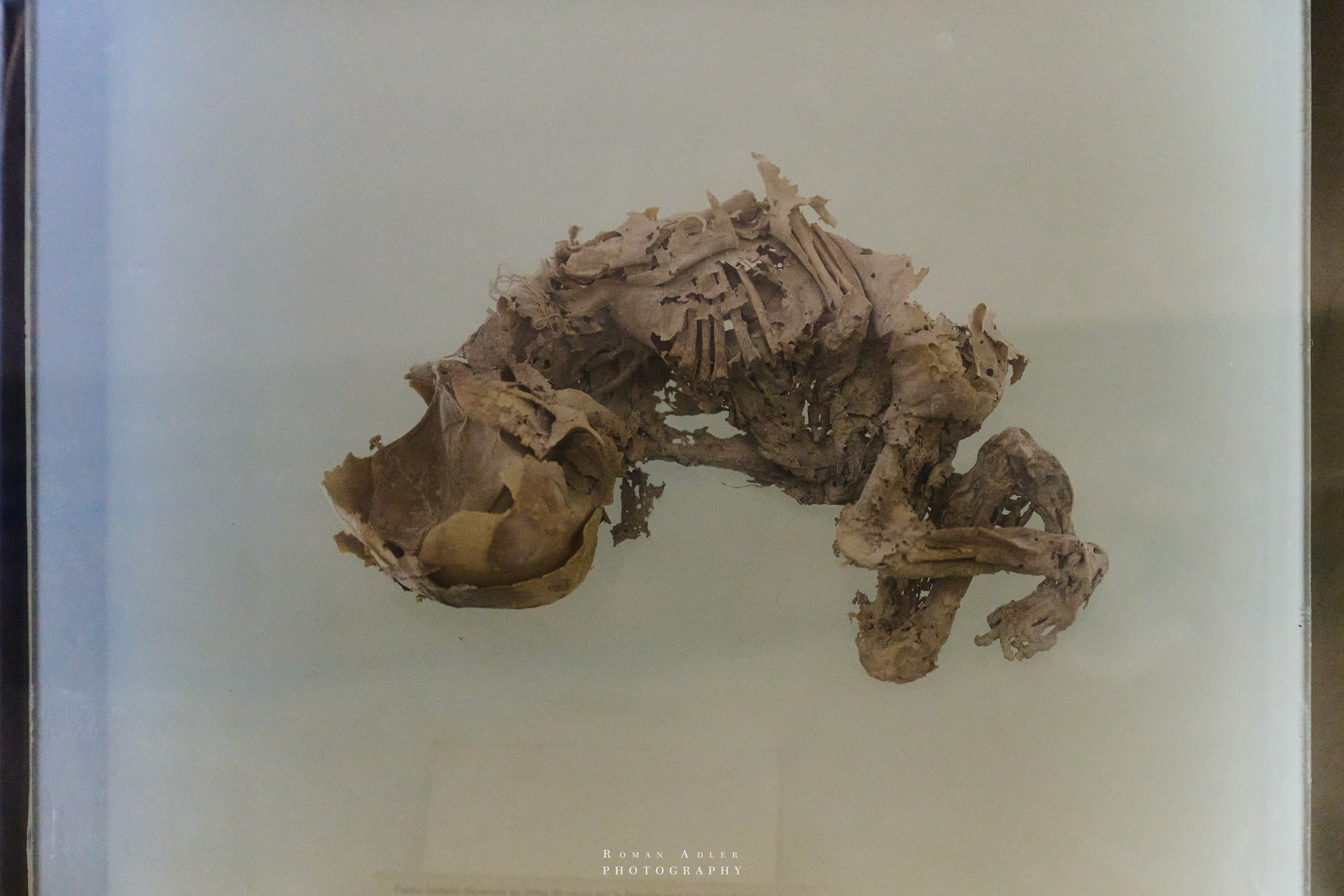 Луксор. Февраль 2025. Фотограф Роман Адлер