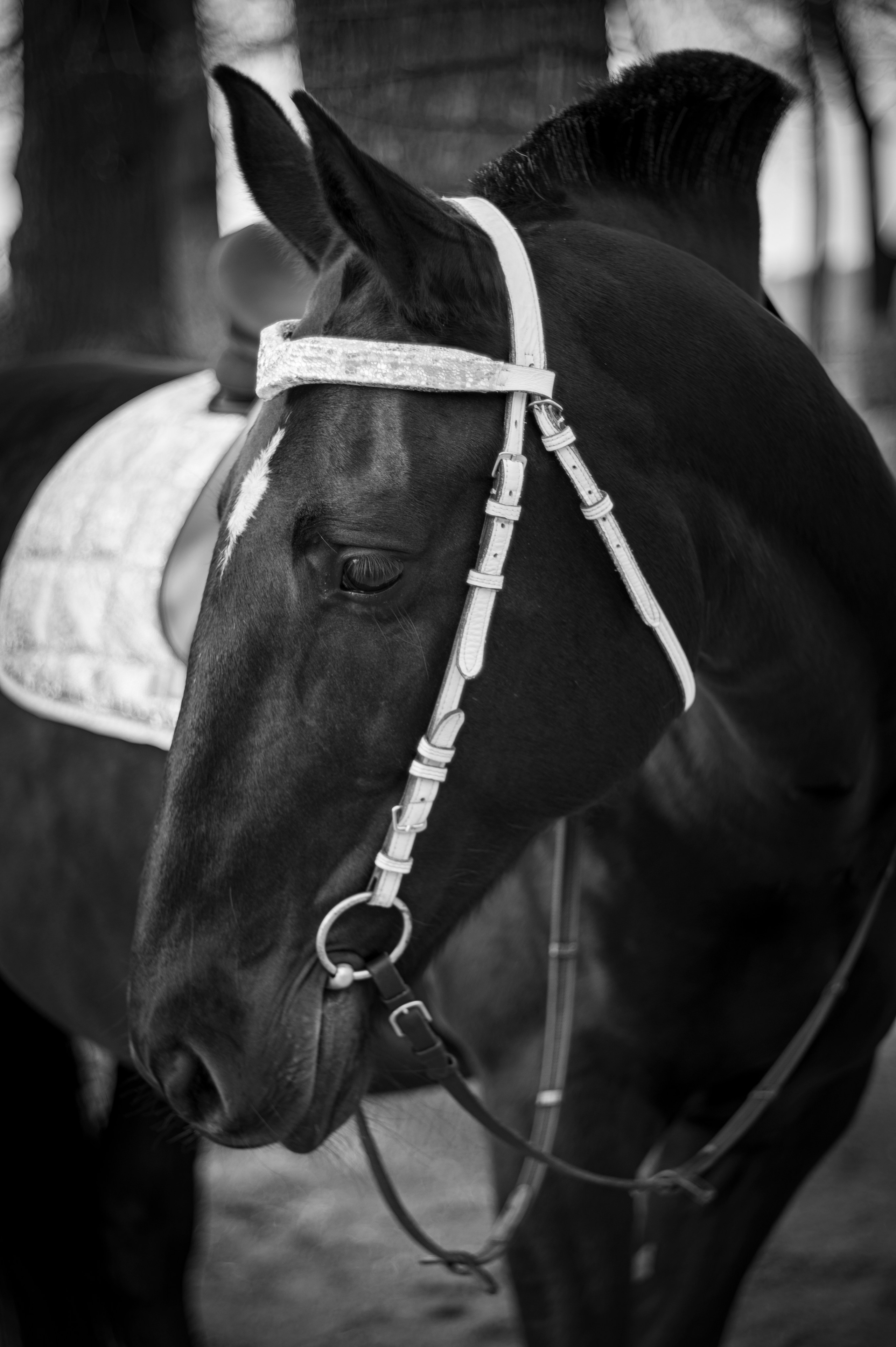 Рязань. Май 2022. Фотограф Роман Адлер