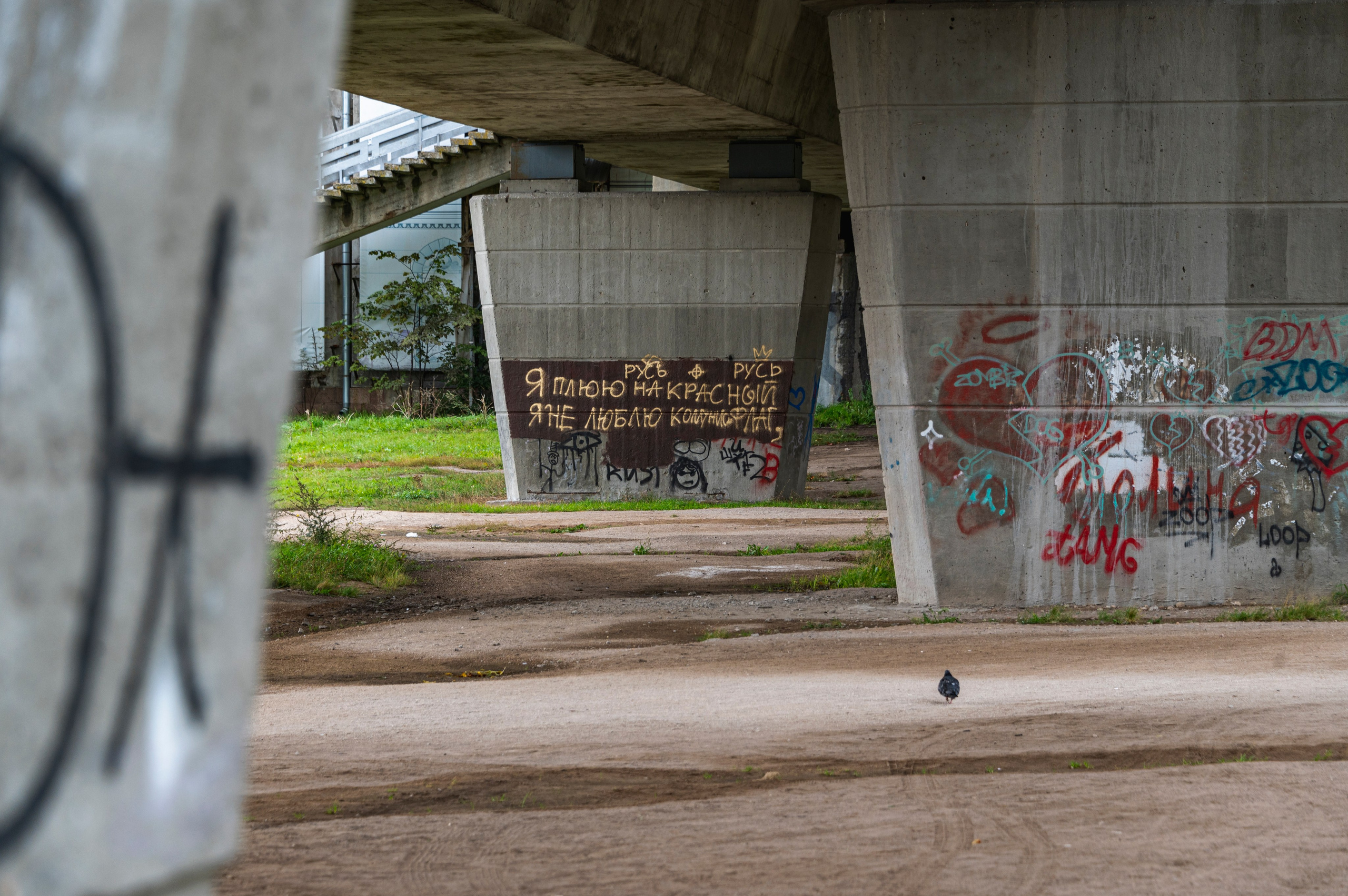 Псков. Октябрь 2023. Фотограф Роман Адлер