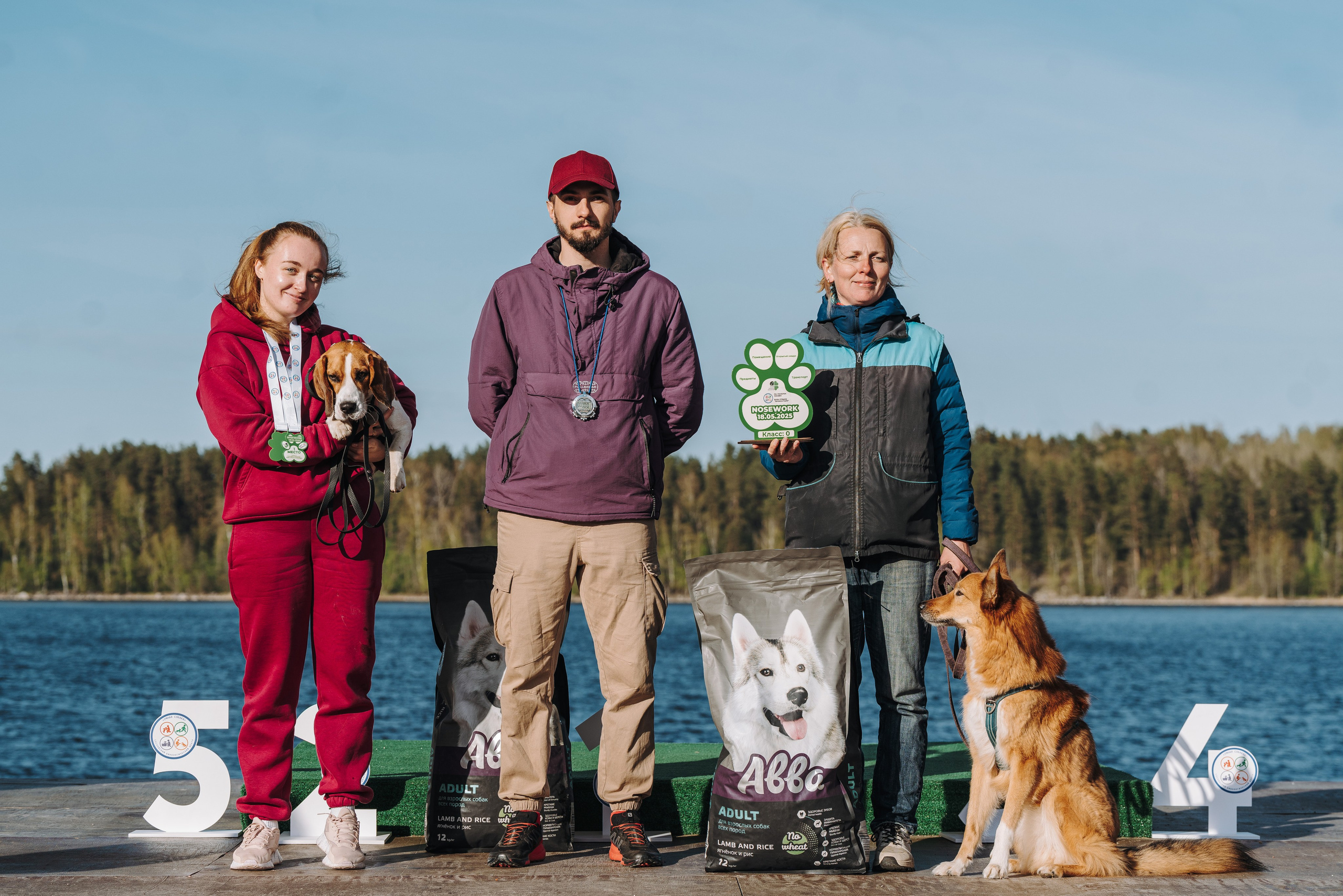 Соревнования по ноузворку в Лосево. Фотограф анималист в Спб недорого Олеся Майорова
