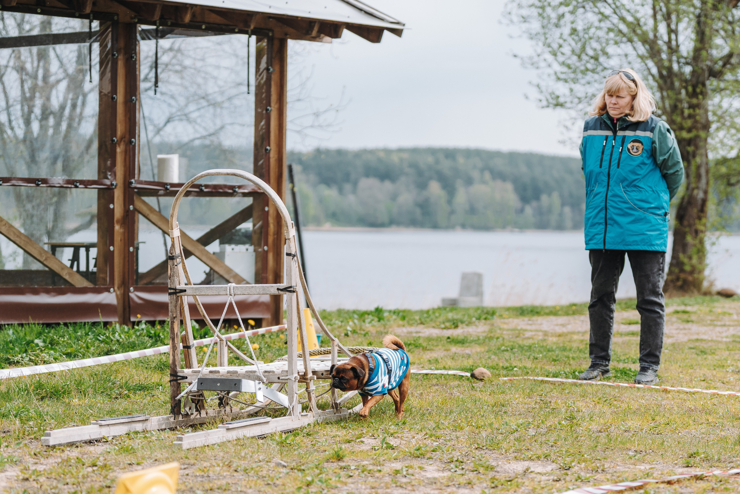 Соревнования по ноузворку в Лосево. Фотограф анималист в Спб недорого Олеся Майорова
