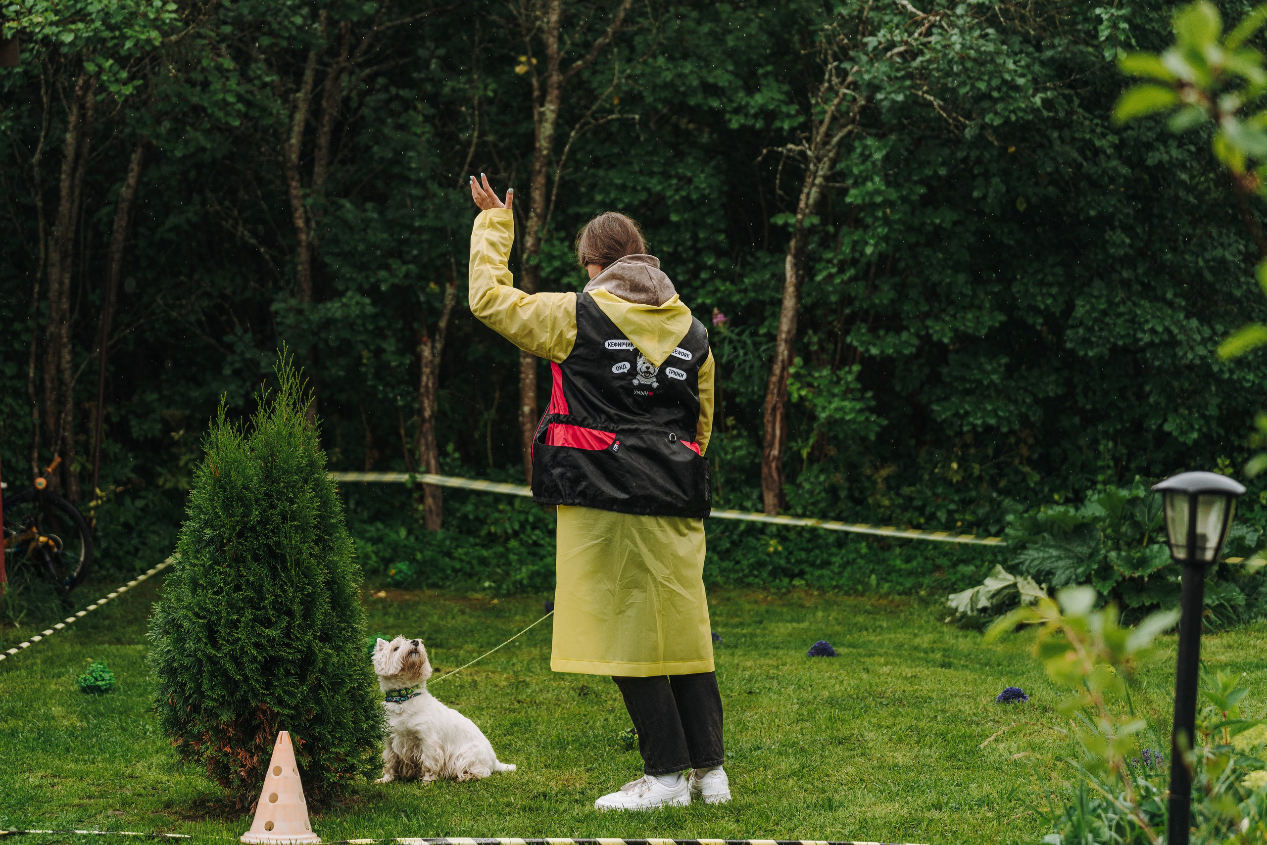 Соревнования по ноузворку в Новожилово. Фотограф анималист в Спб недорого Олеся Майорова