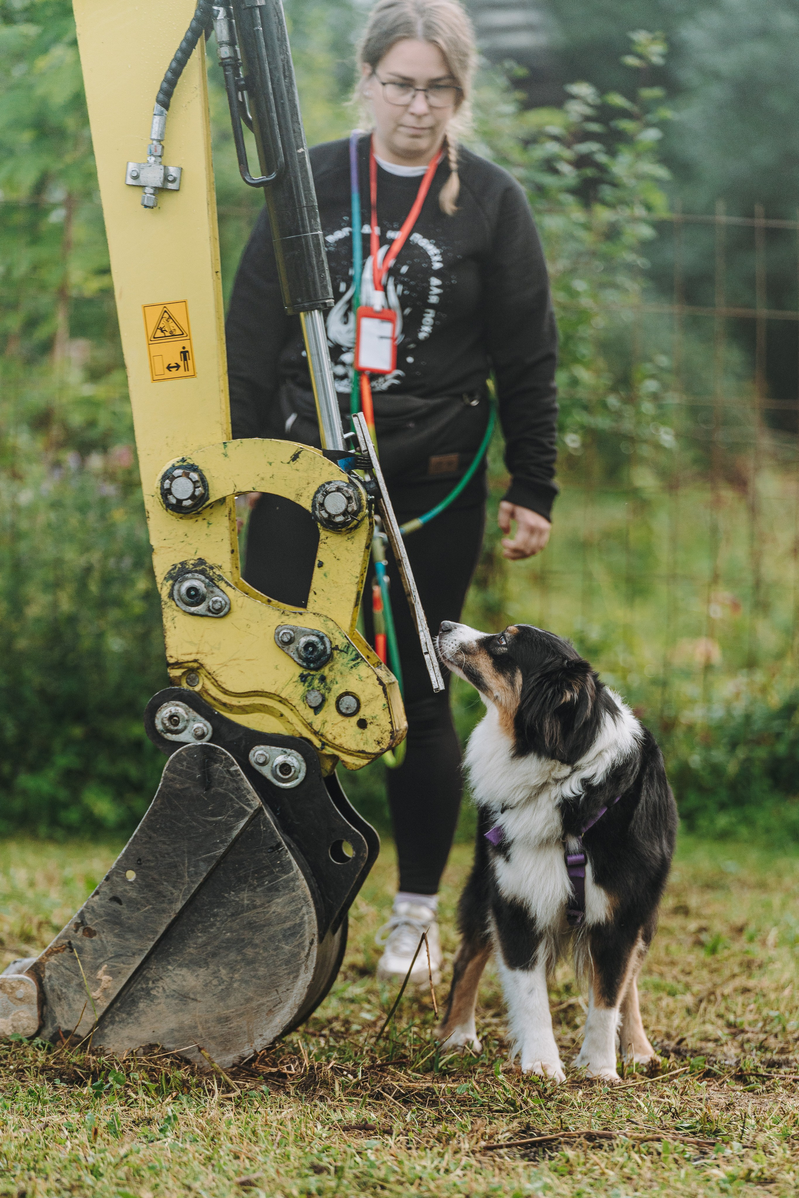 Соревнования по ноузворку в Новожилово. Фотограф анималист в Спб недорого Олеся Майорова