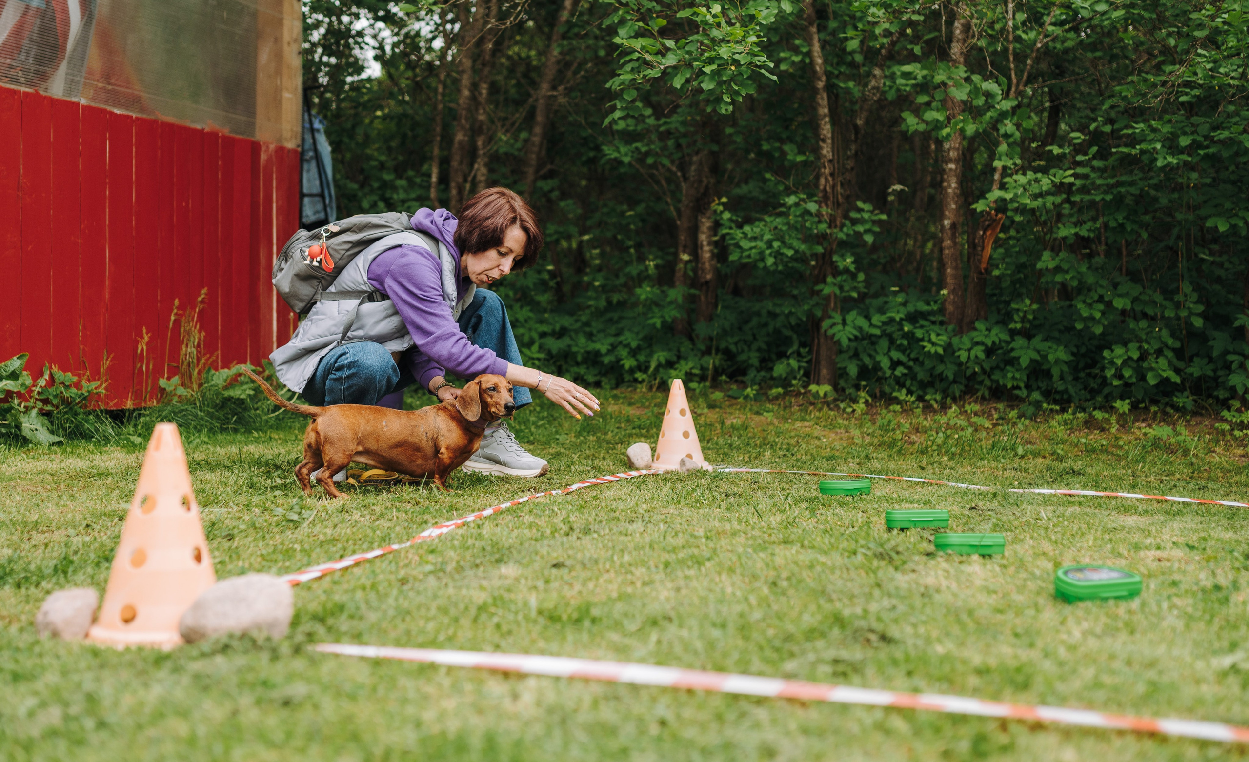 Соревнования по ноузворку. Фотограф анималист в Спб недорого Олеся Майорова