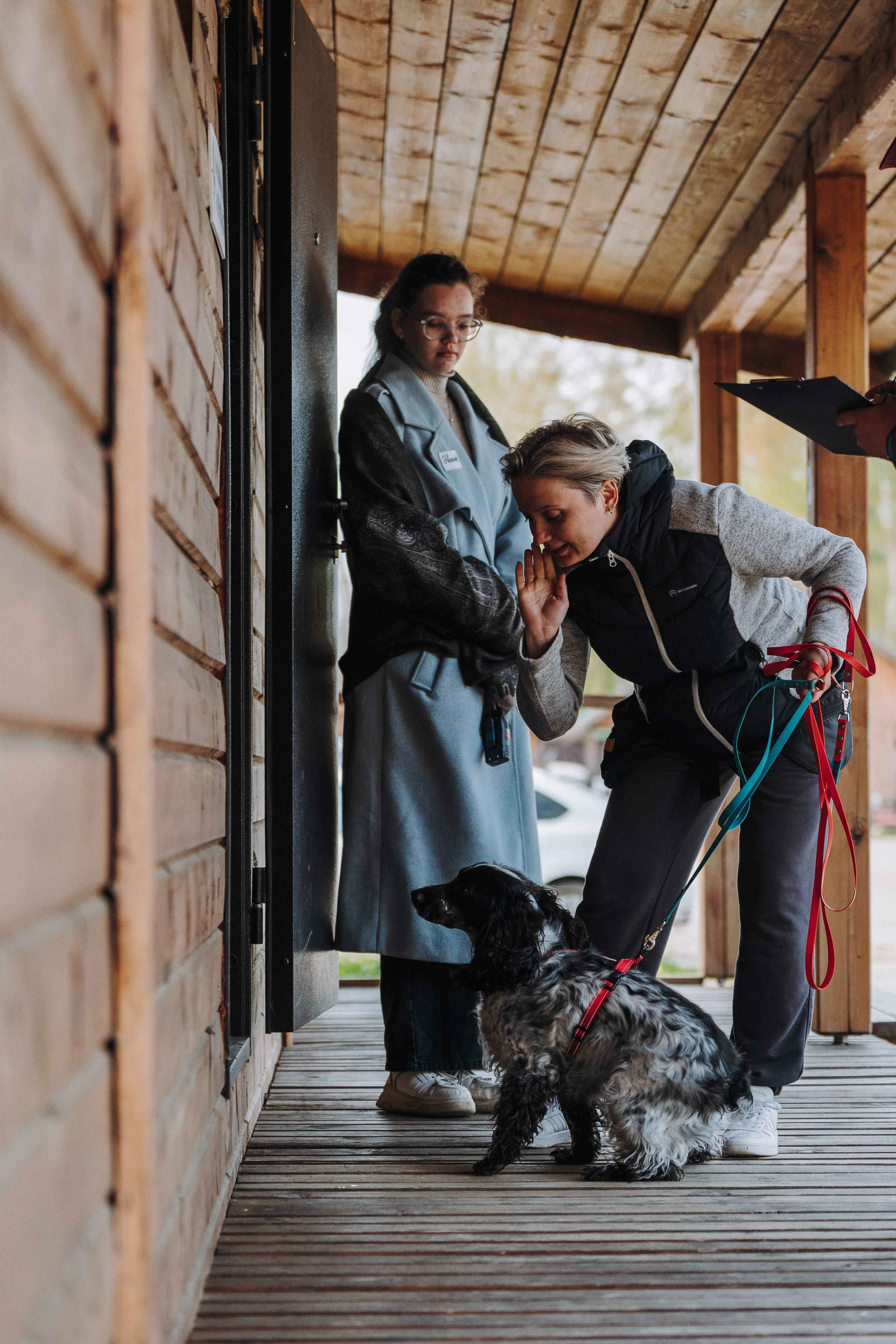 Соревнования по ноузворку в Лосево. Фотограф анималист в Спб недорого Олеся Майорова