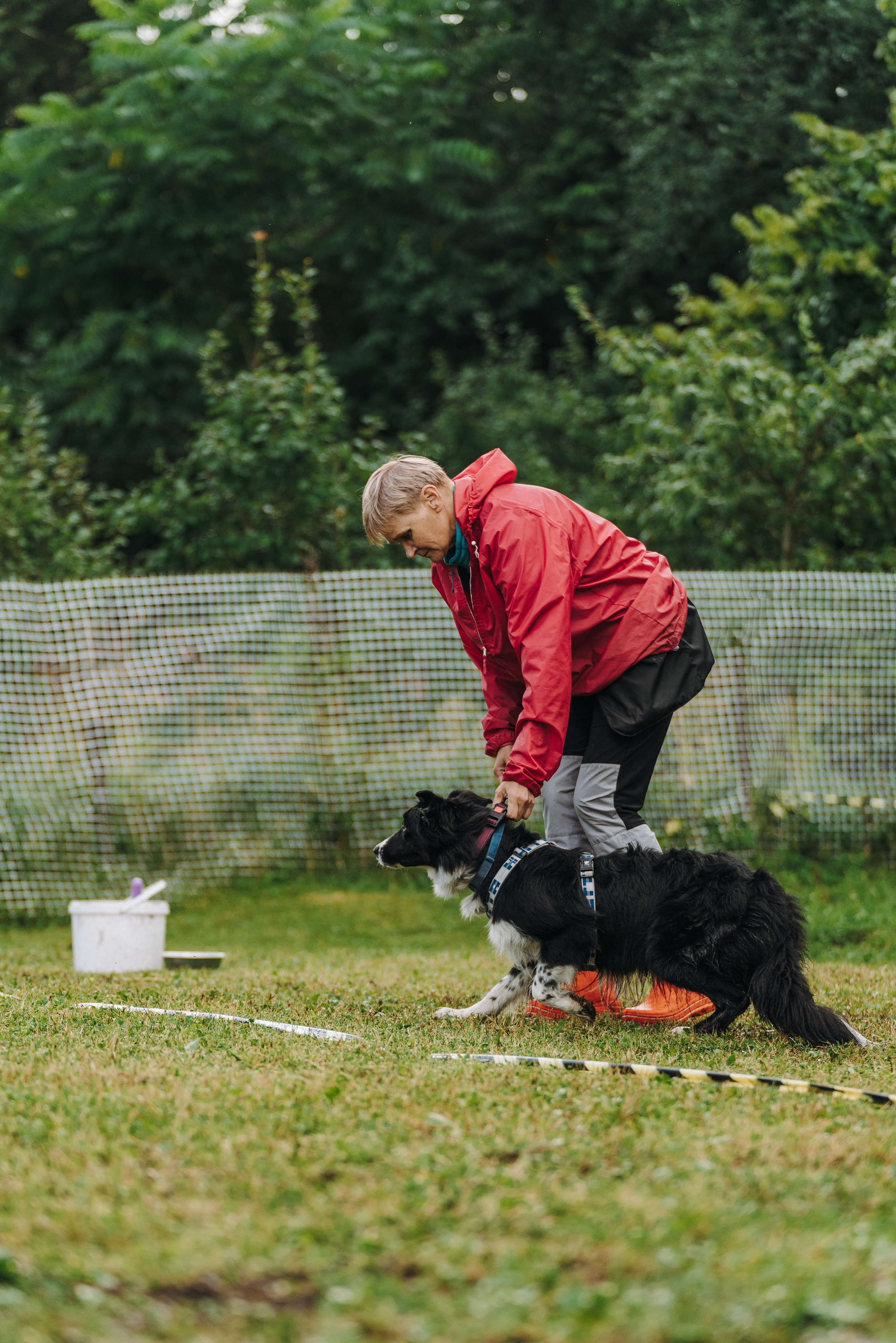 Соревнования по ноузворку в Новожилово. Фотограф анималист в Спб недорого Олеся Майорова