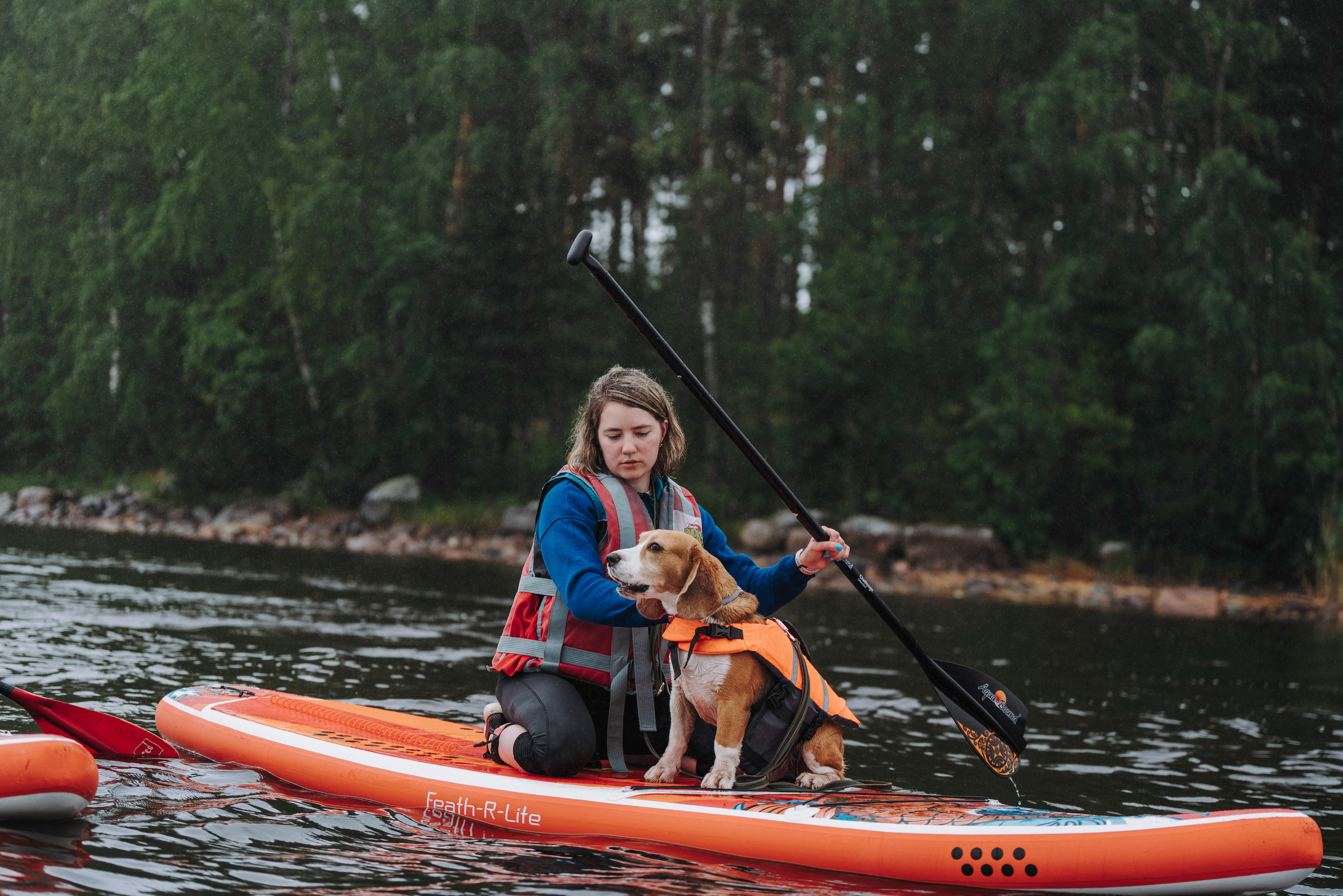 Катание на сапах с собаками. Фотограф анималист в Спб недорого Олеся Майорова