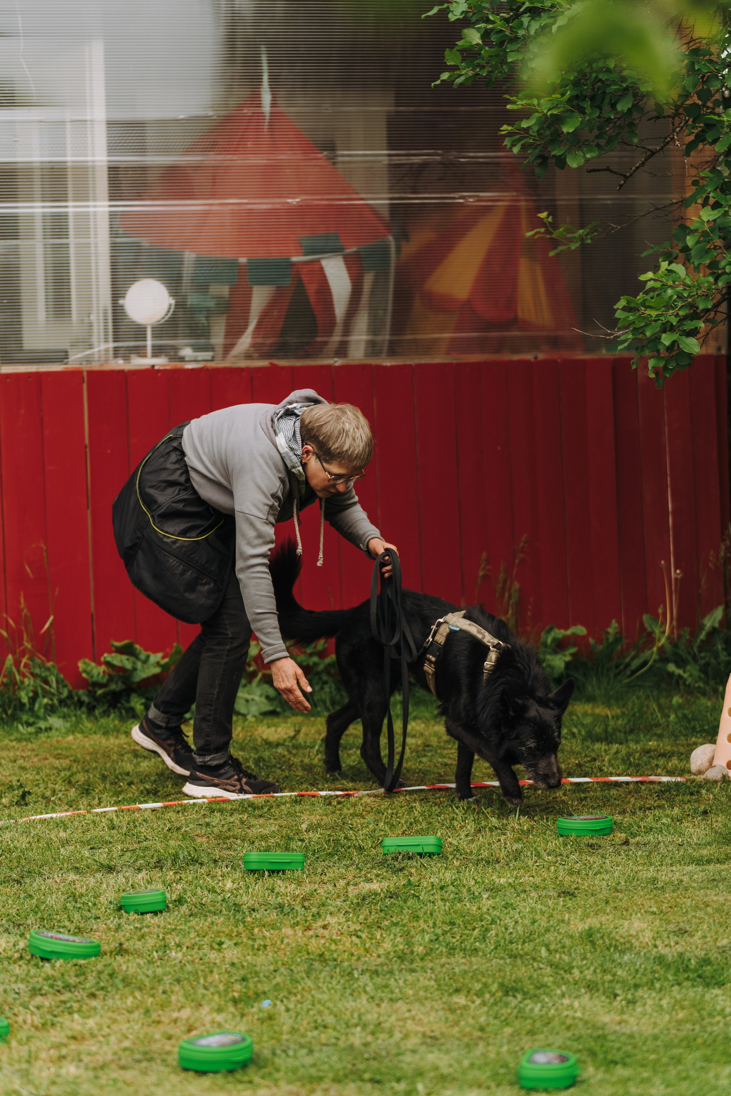 Соревнования по ноузворку. Фотограф анималист в Спб недорого Олеся Майорова