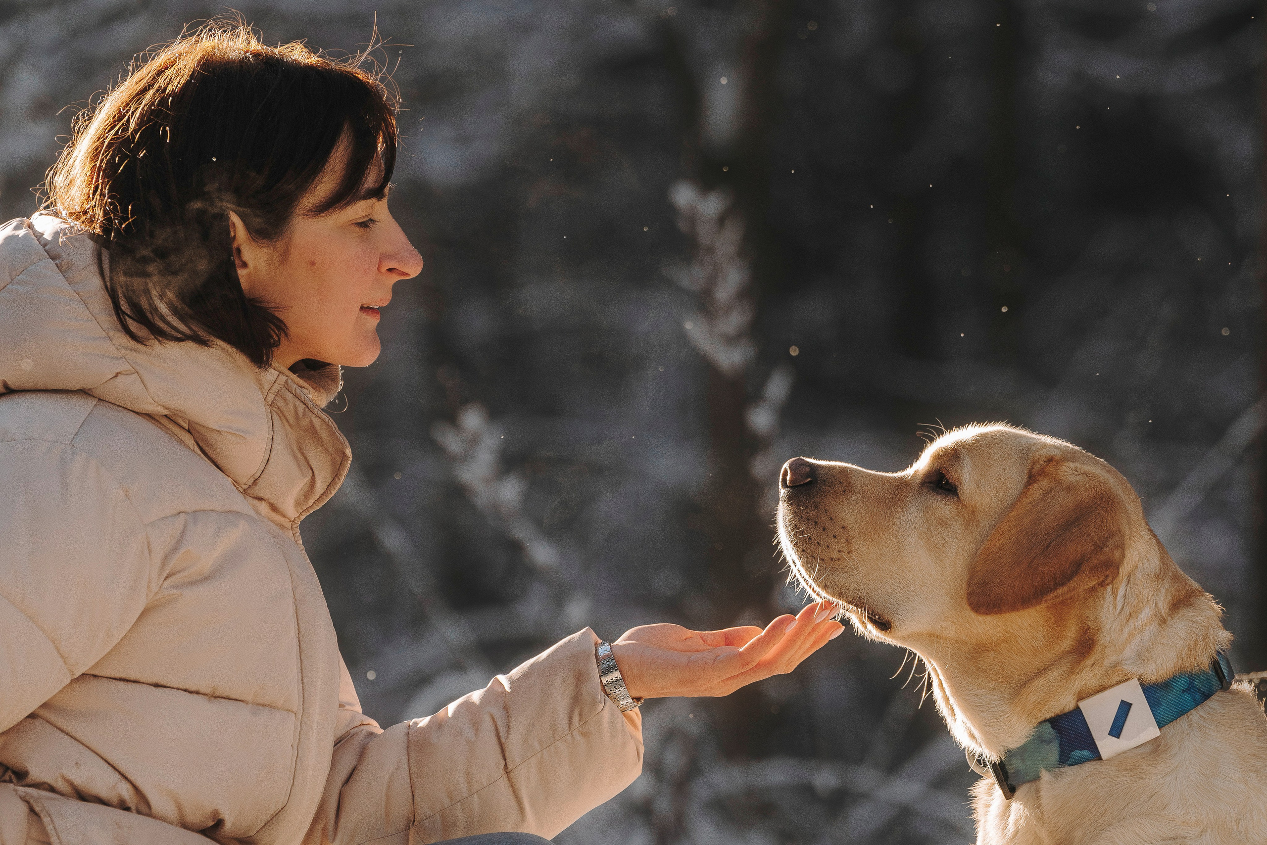 Аня и Честер. Фотограф анималист в Спб недорого Олеся Майорова