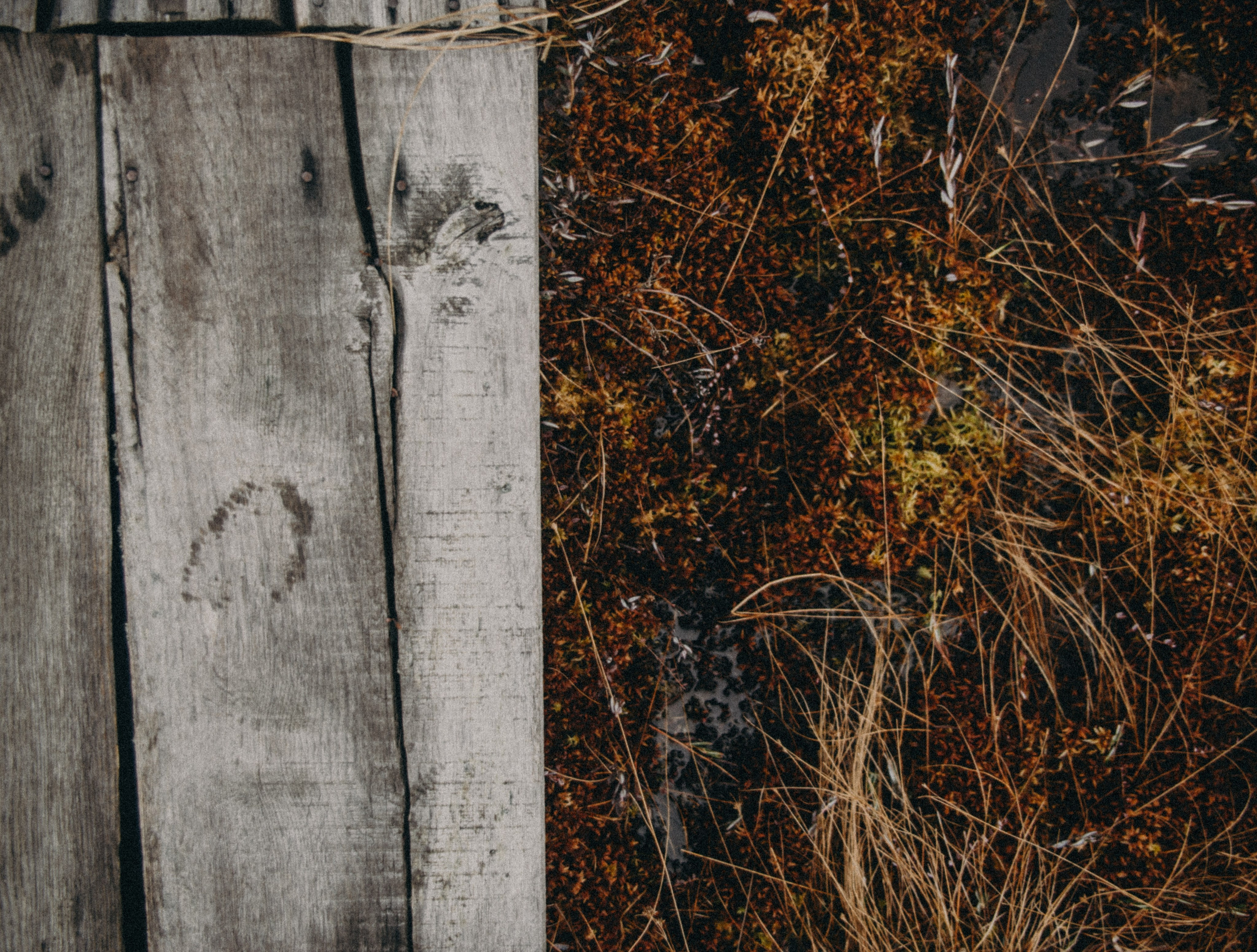 Ельня, Беларусь. Anita_photo