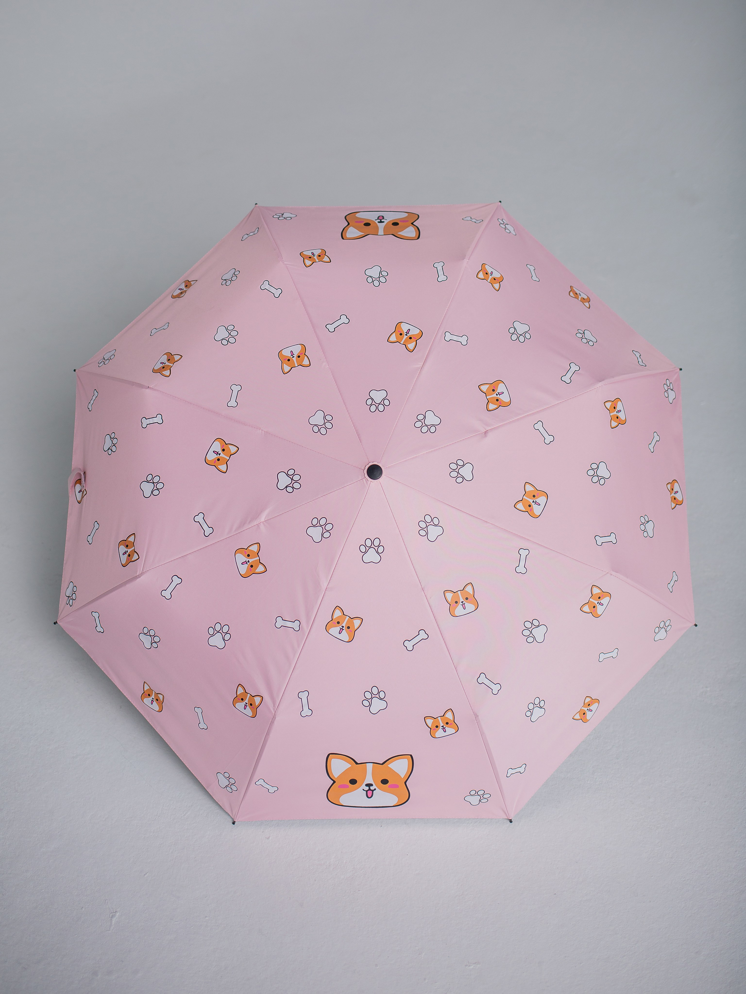 Зонты. Семейный фотограф Николаева Ольга