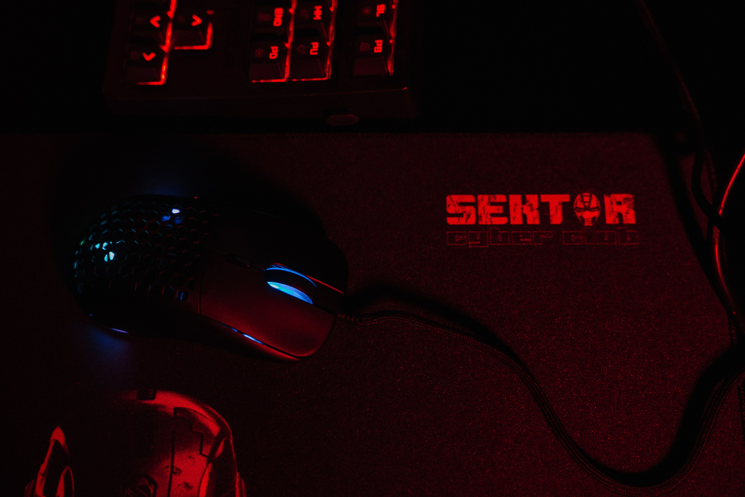 SEKTOR. Фотограф в Хабаровске Швендых Рудольф