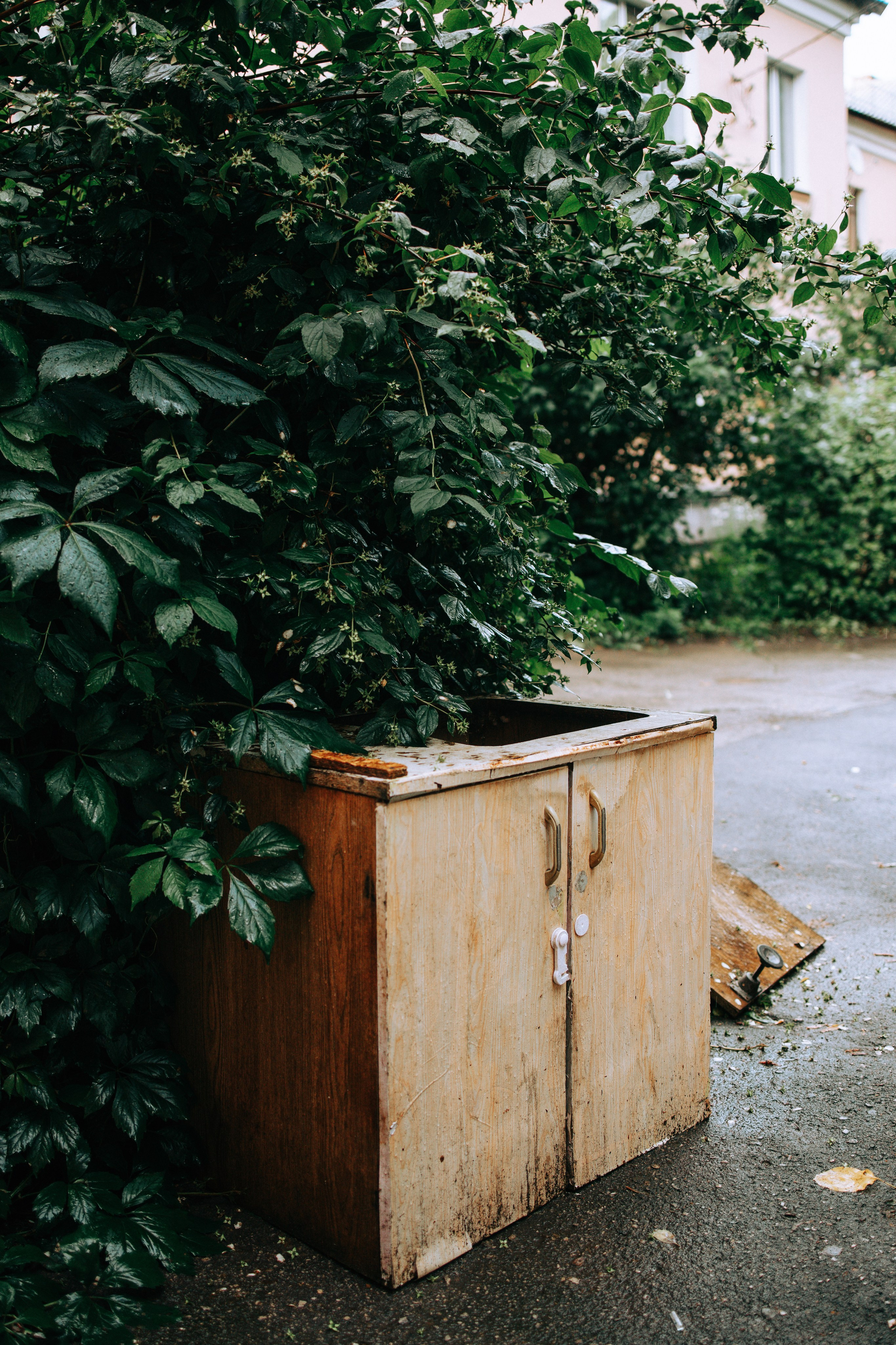Дождливое лето. Свадебный и семейный фотограф в Туле и области Маша Костина