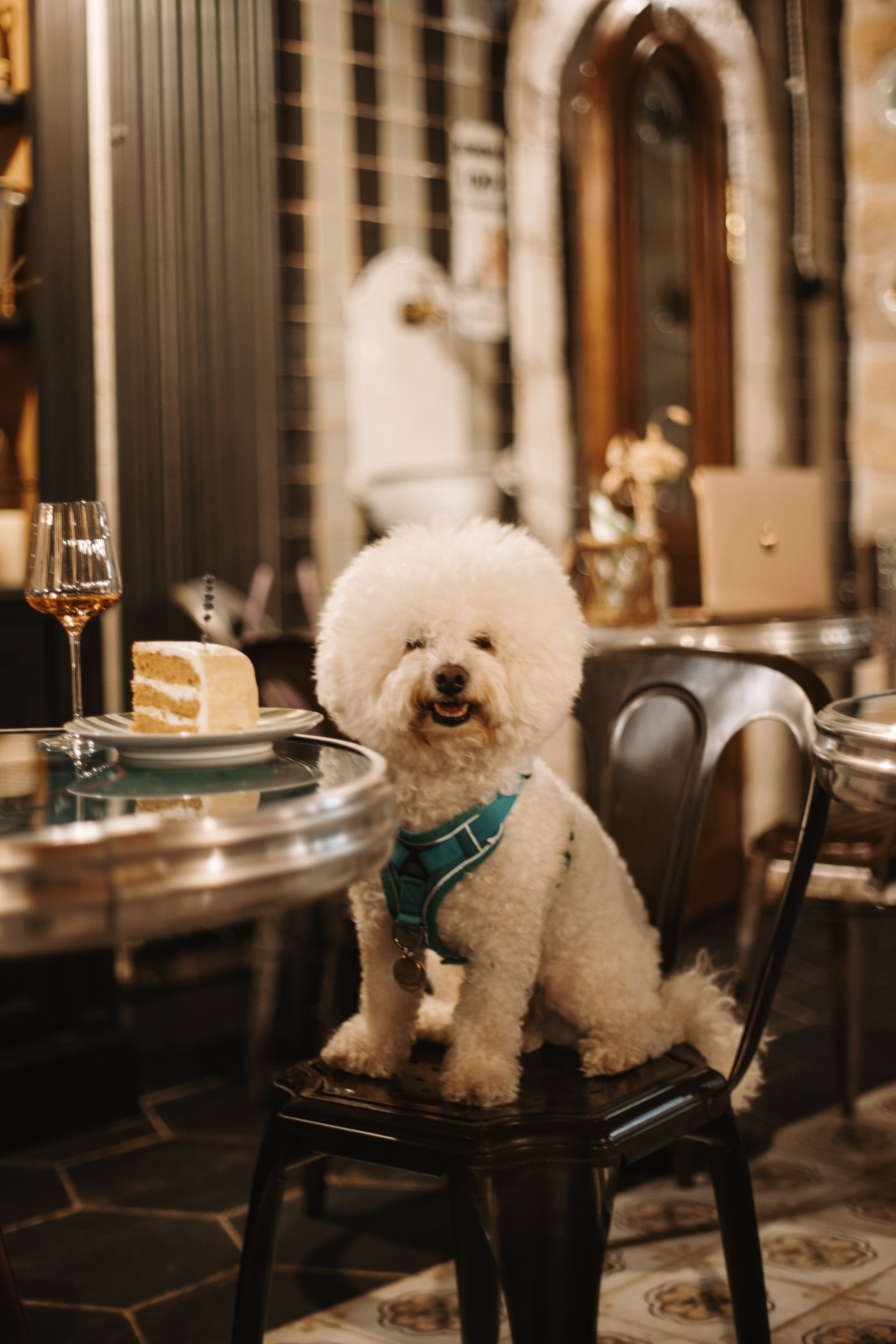 Adrian Bistro. Фотограф на Юге России