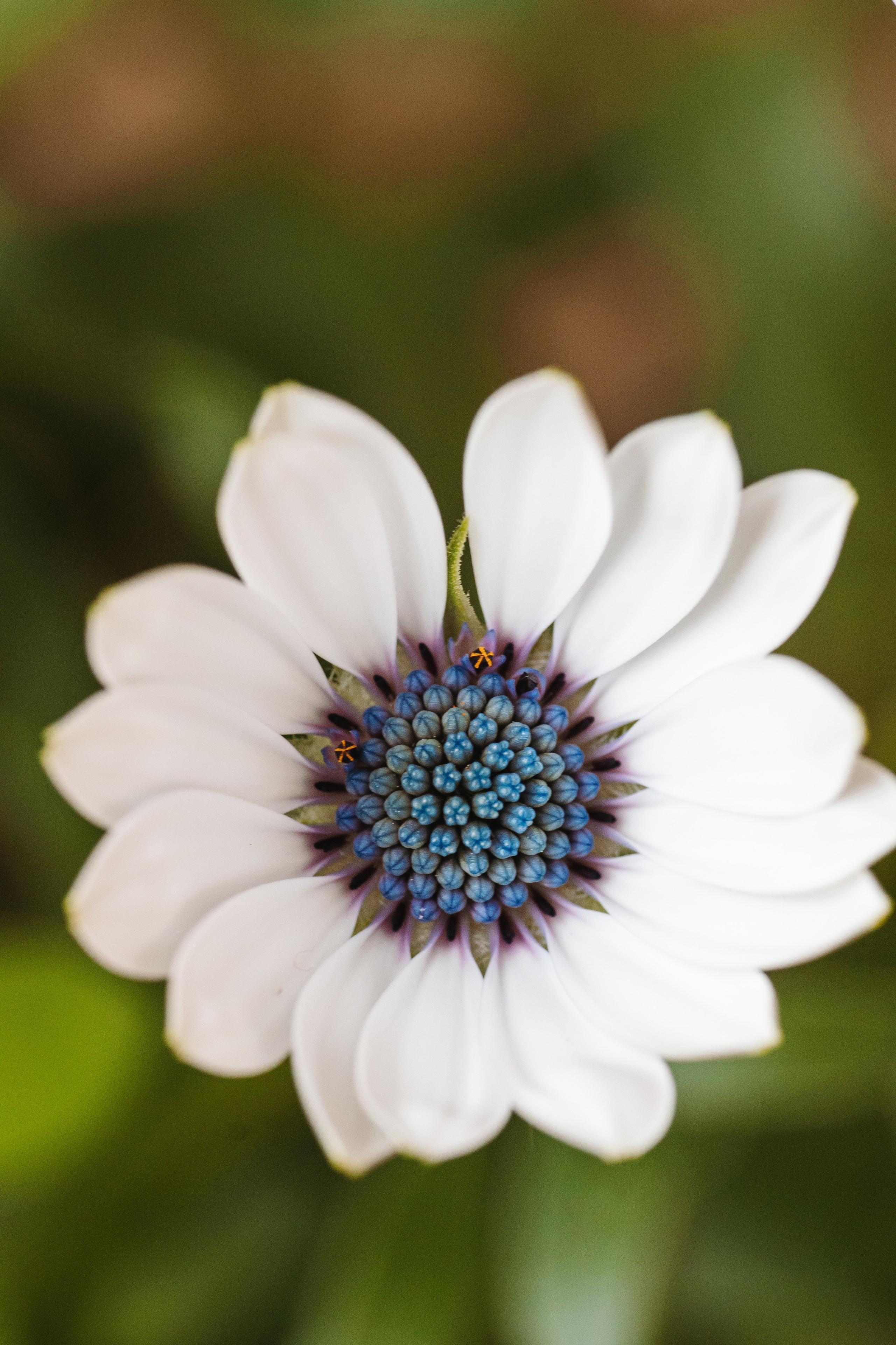 Macro. Фотограф на Юге России