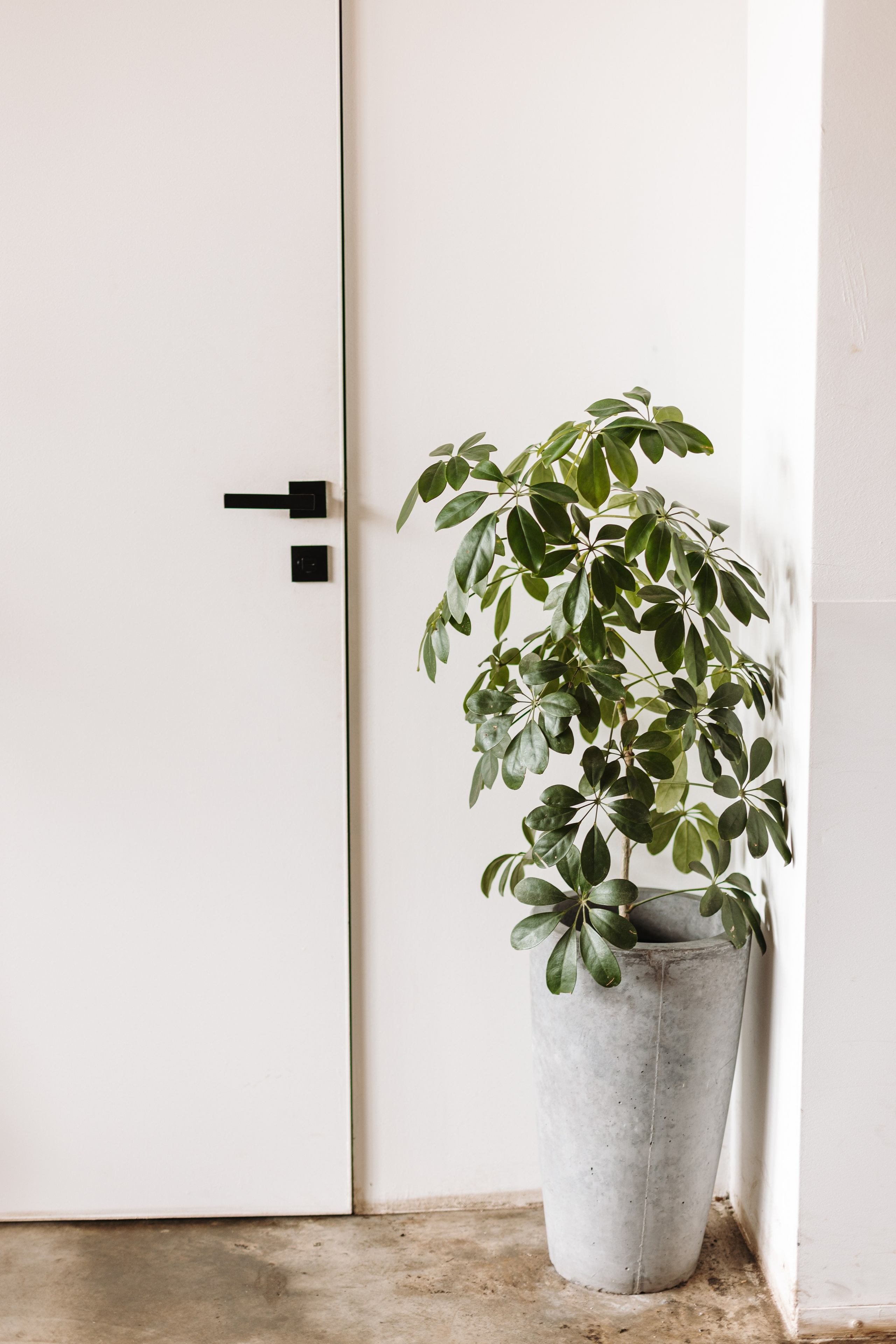 Bary Coffee. Фотограф на Юге России