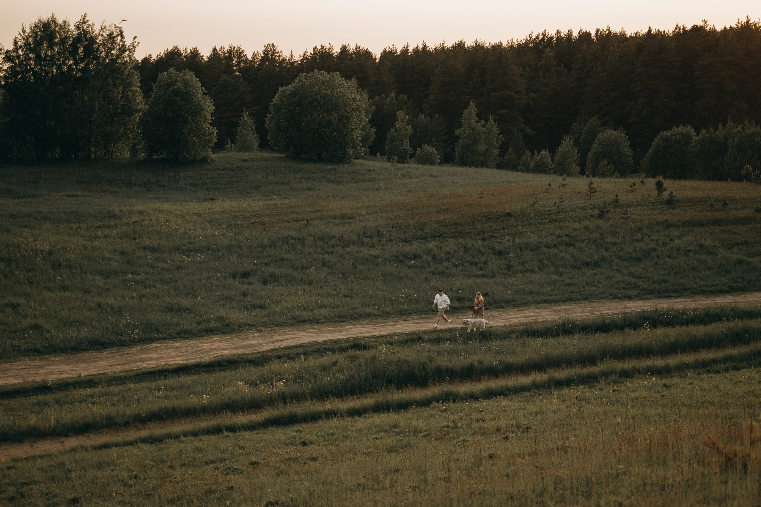 Милка и ребята. Фотограф — Анималист | Санкт-Петербург
