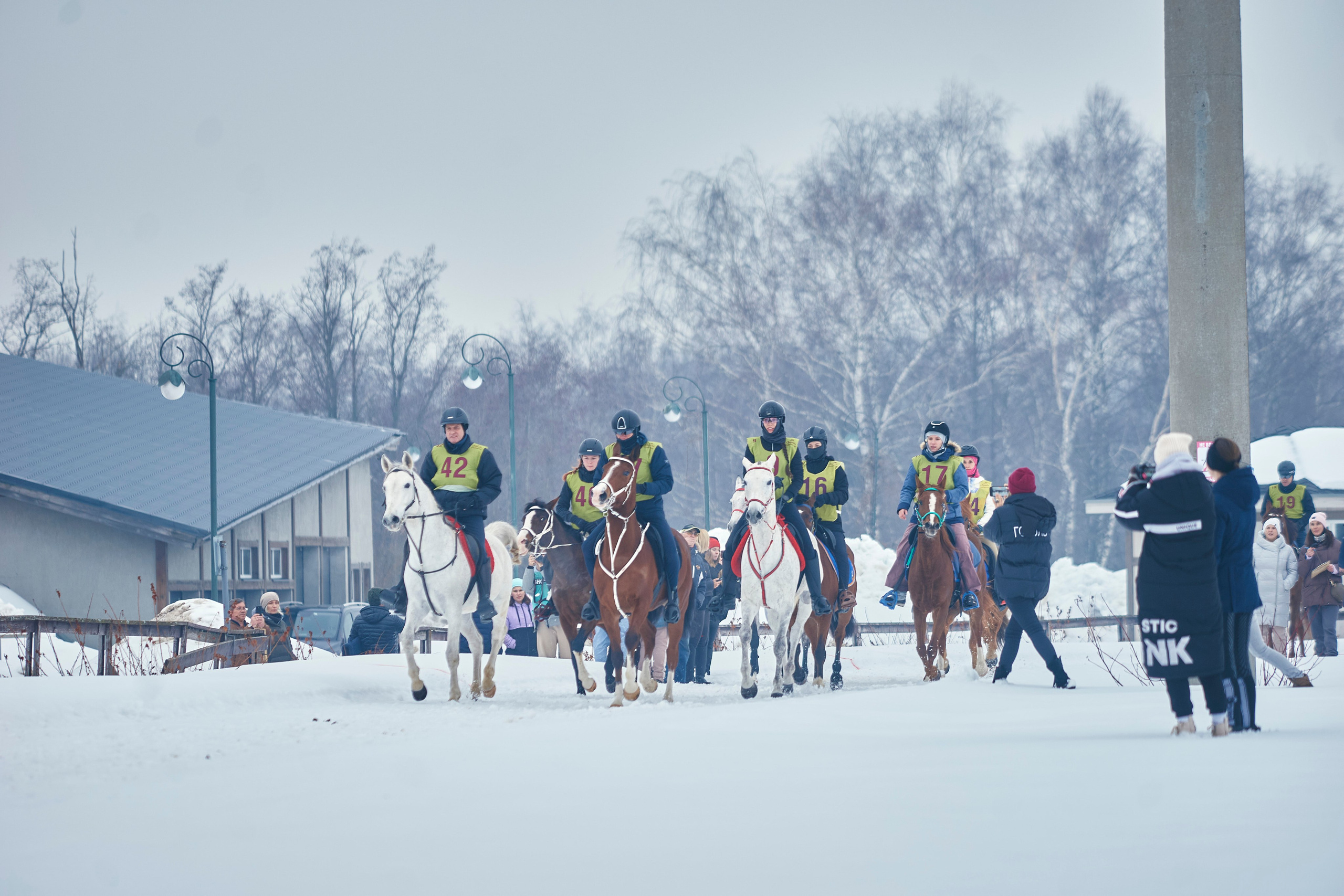 HORSE RACING. Фотограф Наталья Леонова
