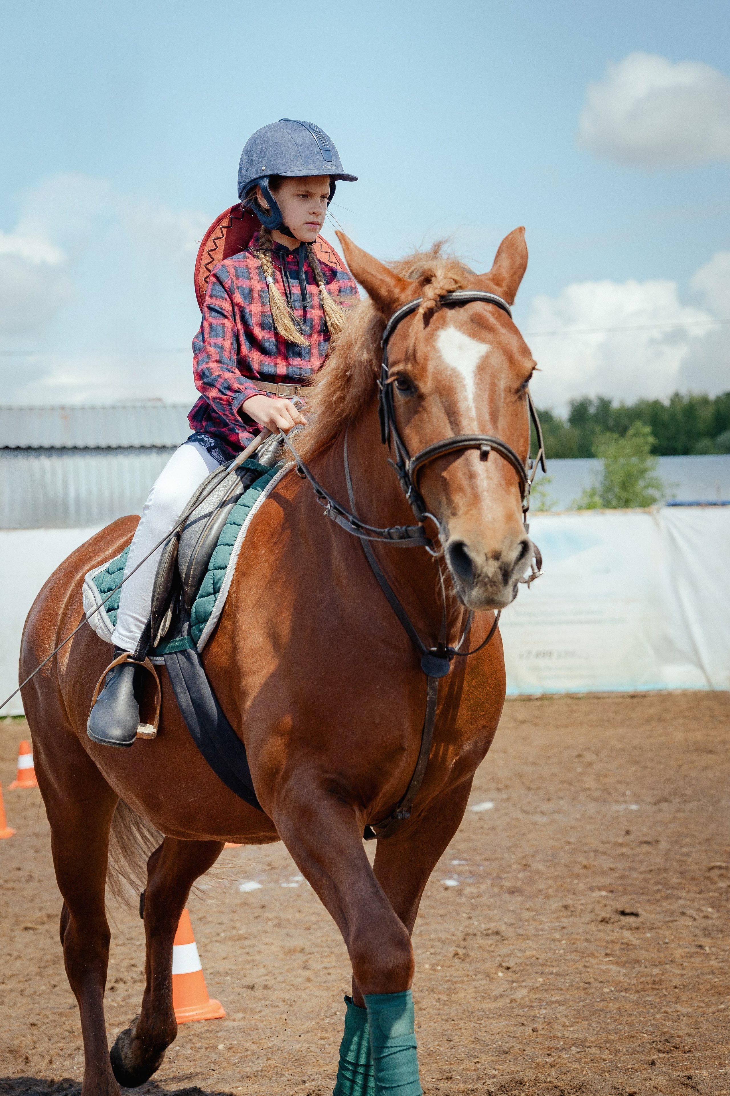 Конный клуб Горки. Портретный и семейный фотограф в Москве/Видное