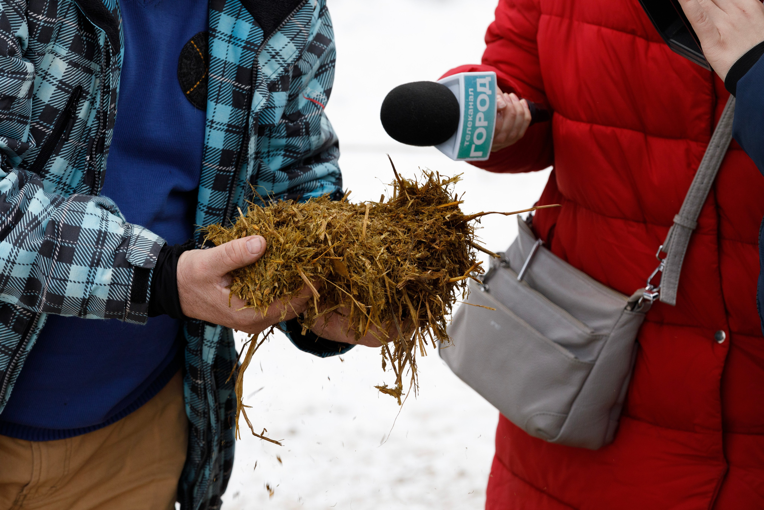 Косули. Фотограф Андрей Гузеев