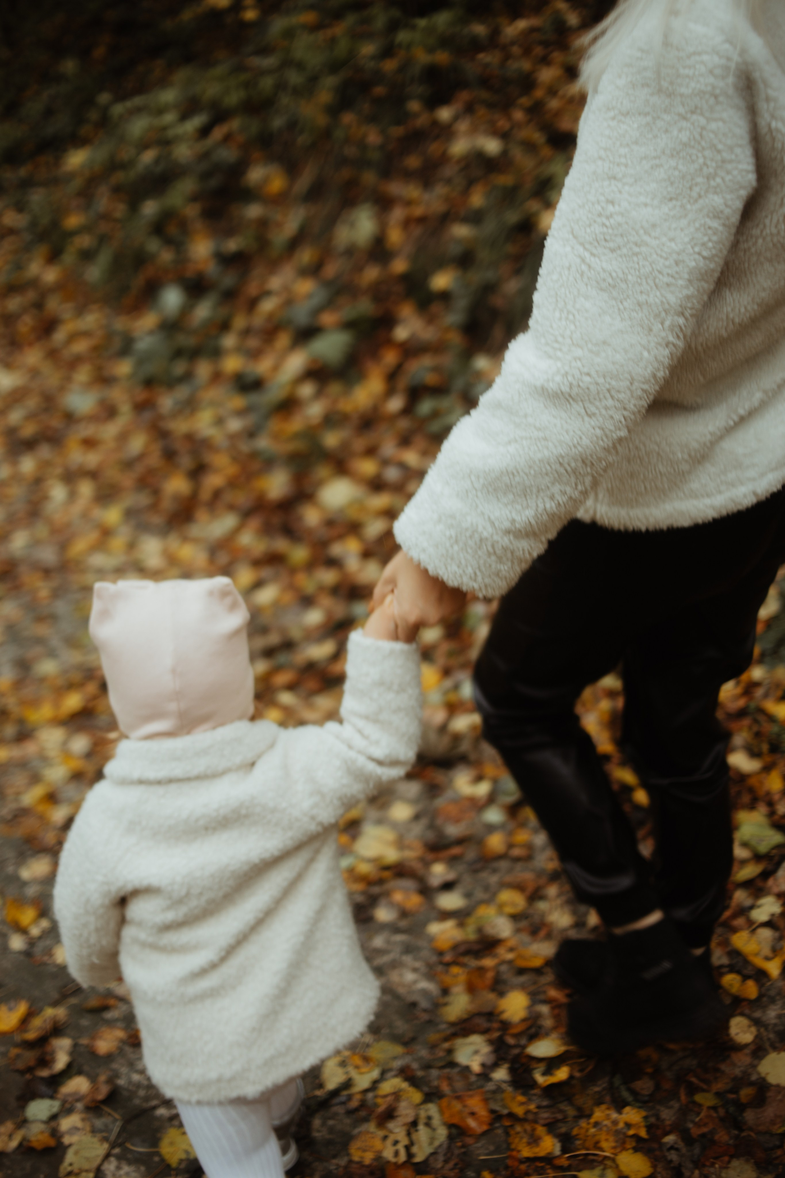 Осенняя прогулка. Фотограф Брянск